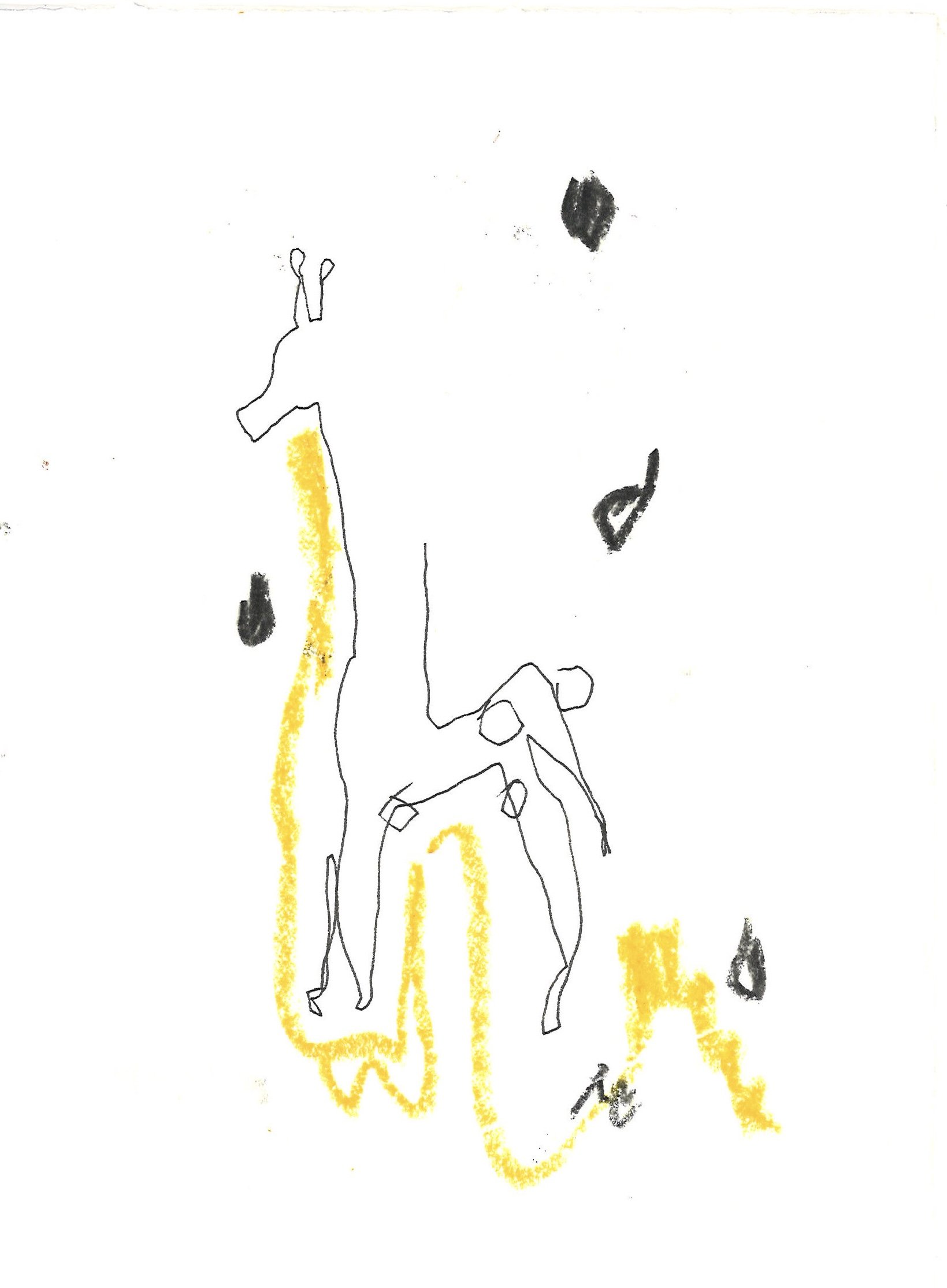 giraffe 