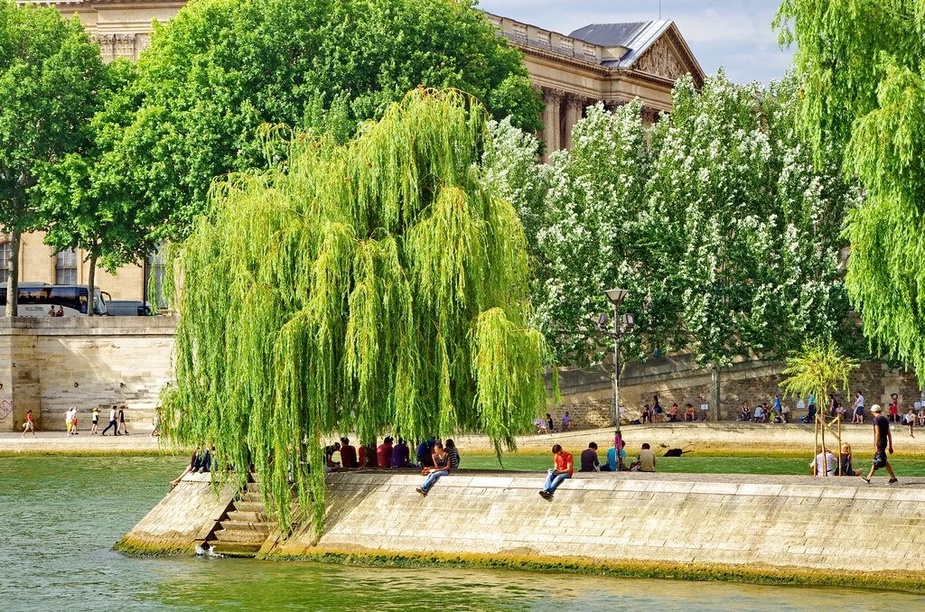 5 most Parisians activities to do