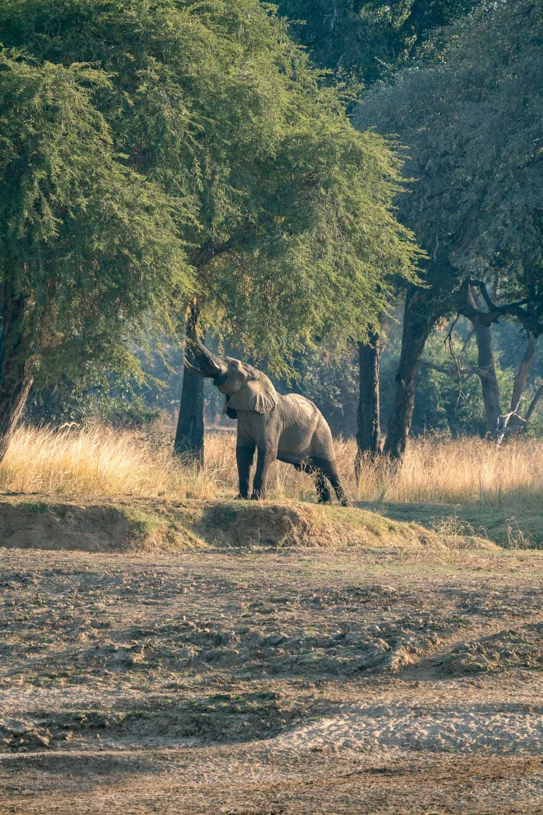 Wildlife & Nature Photography