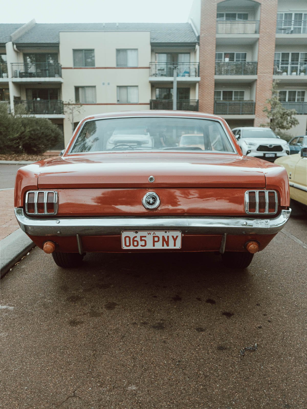 Joondalup Festival of Motoring photography