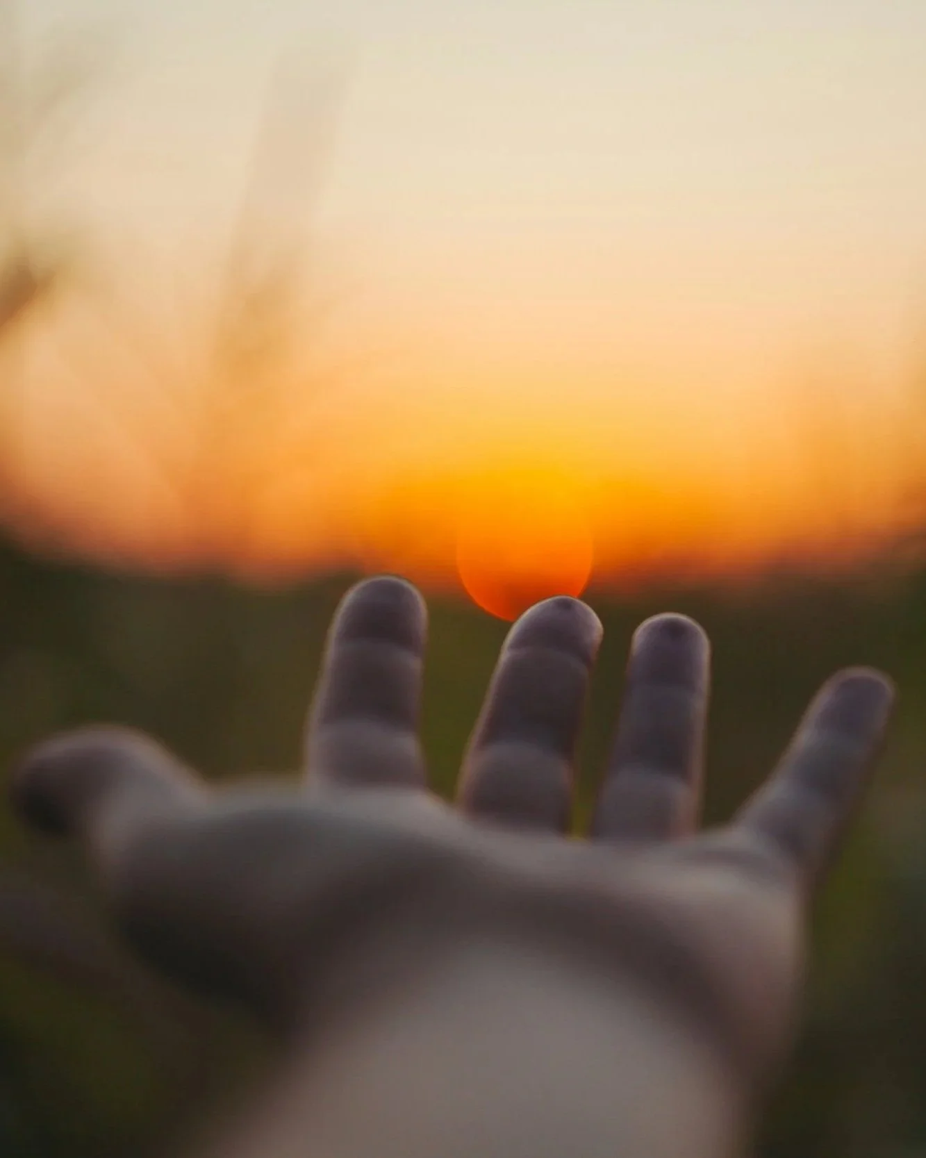 What Makes a Good Therapist or Healer?