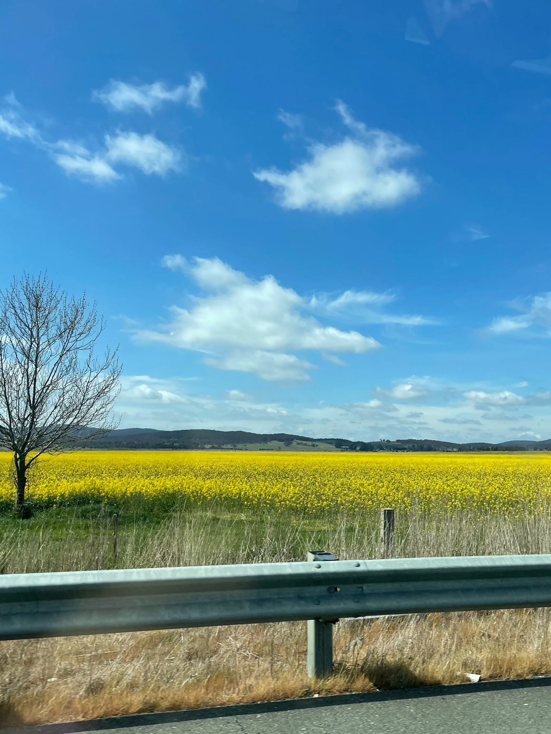 Looking Out The Window Of A Fast Car