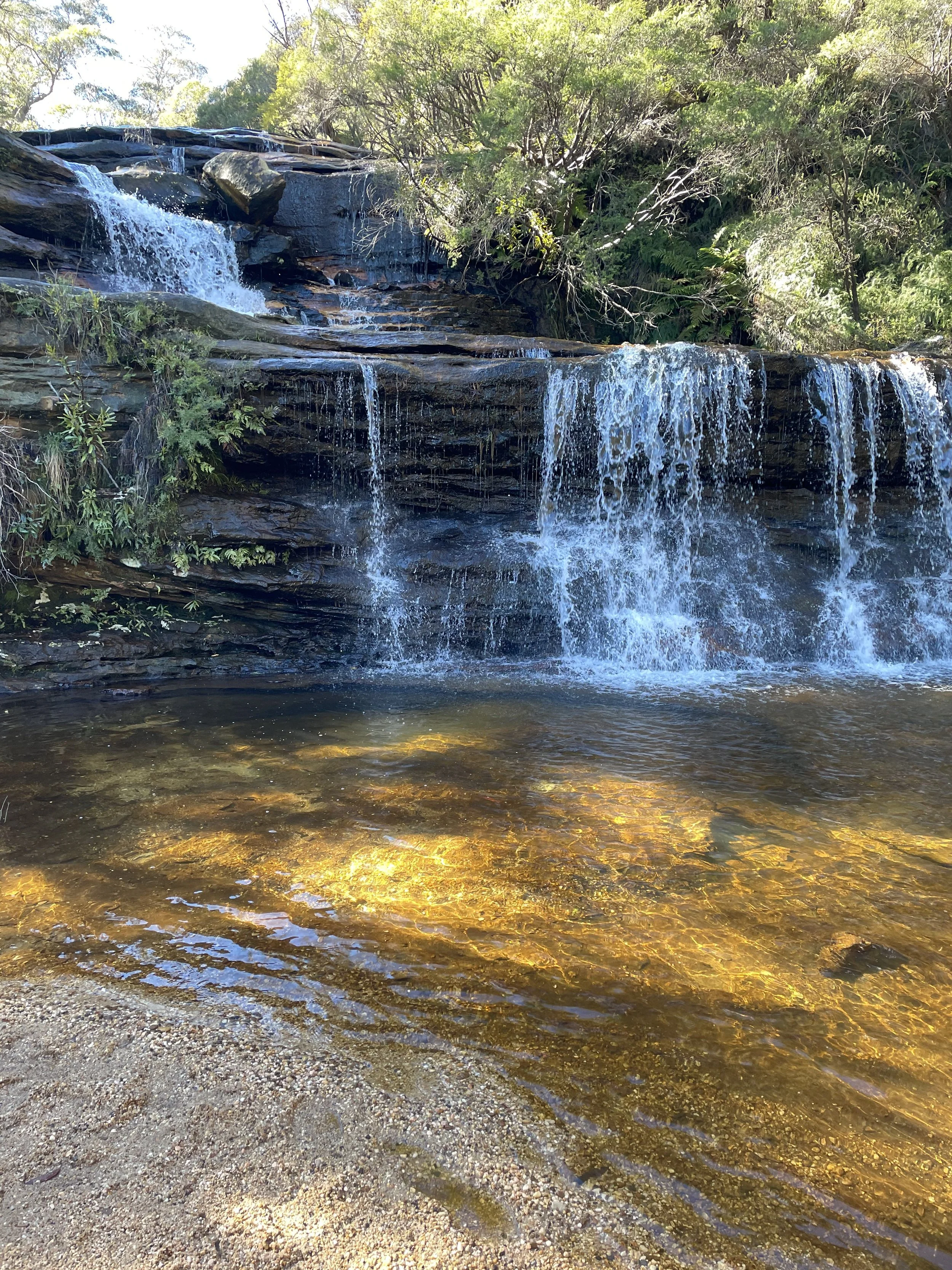 Waterfall In Sydney Australia