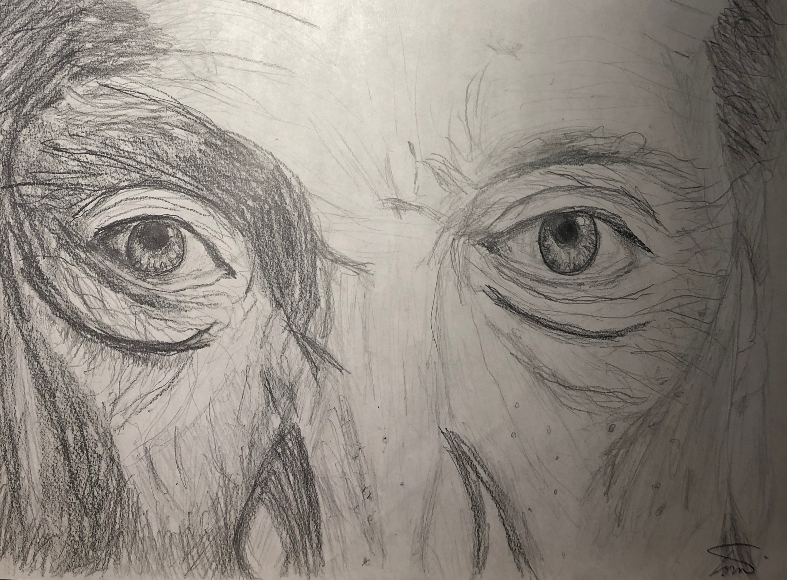 HB & 2B Pencil Drawing