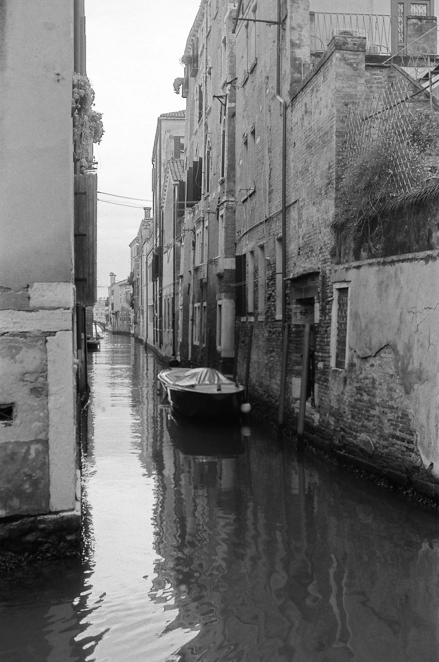 12 months on film March © Birgitte Brondsted-.jpg