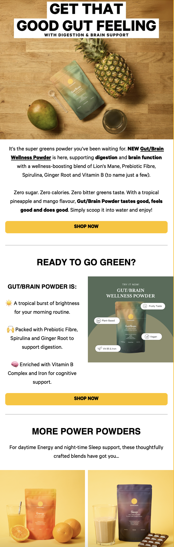 Screenshot of a newsletter about Cannaray's Gut/Brain Wellness Powder.