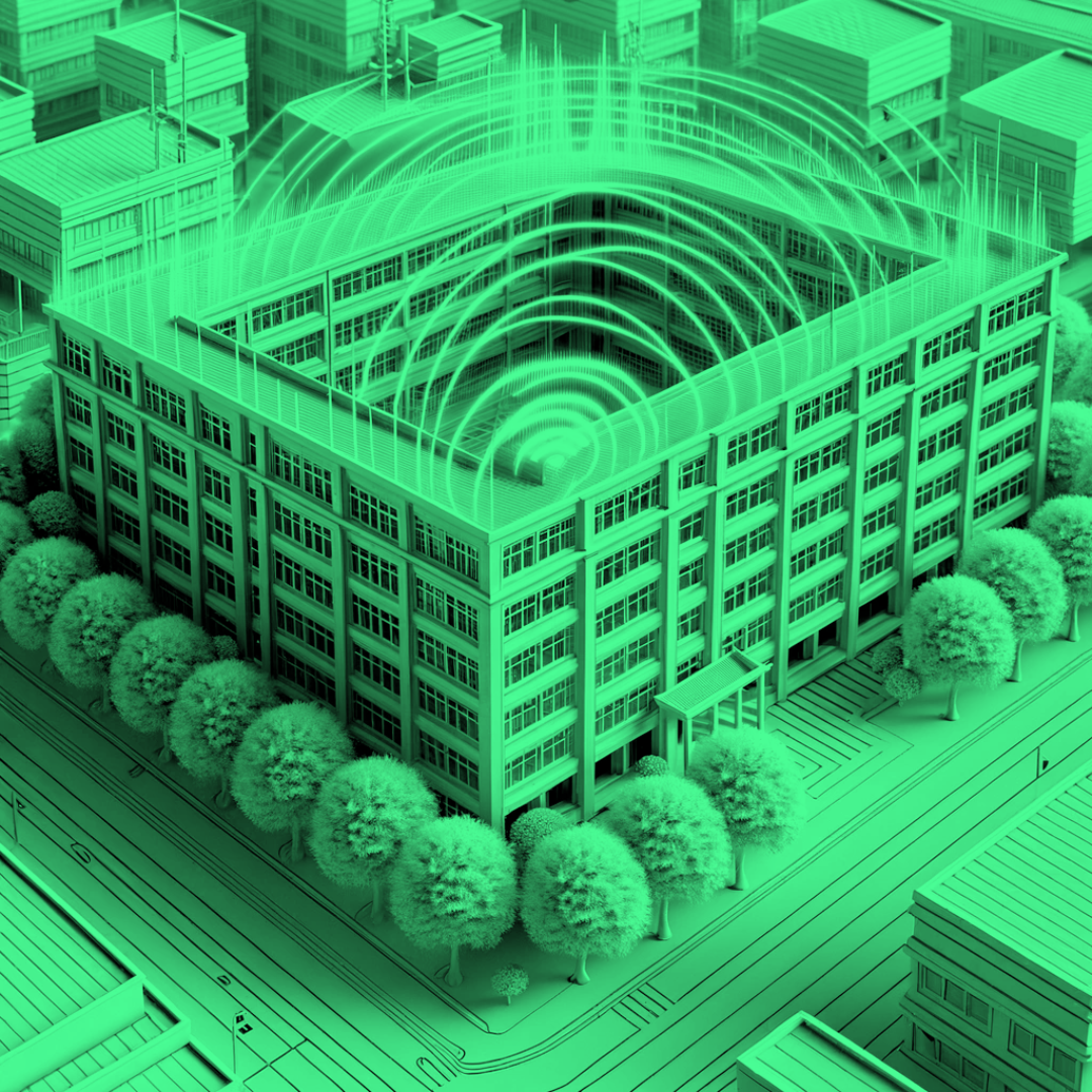 School 20 Projects-4-internet.png