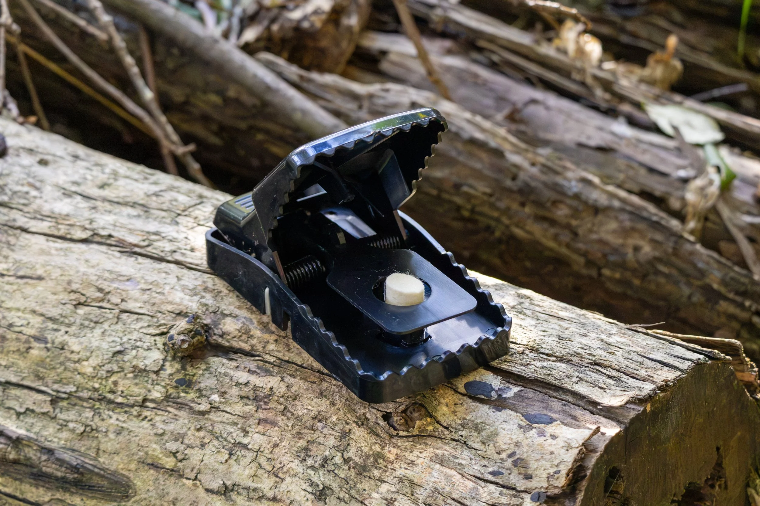 Connovation felt/wool resoakable lure fitted in crocodile trap