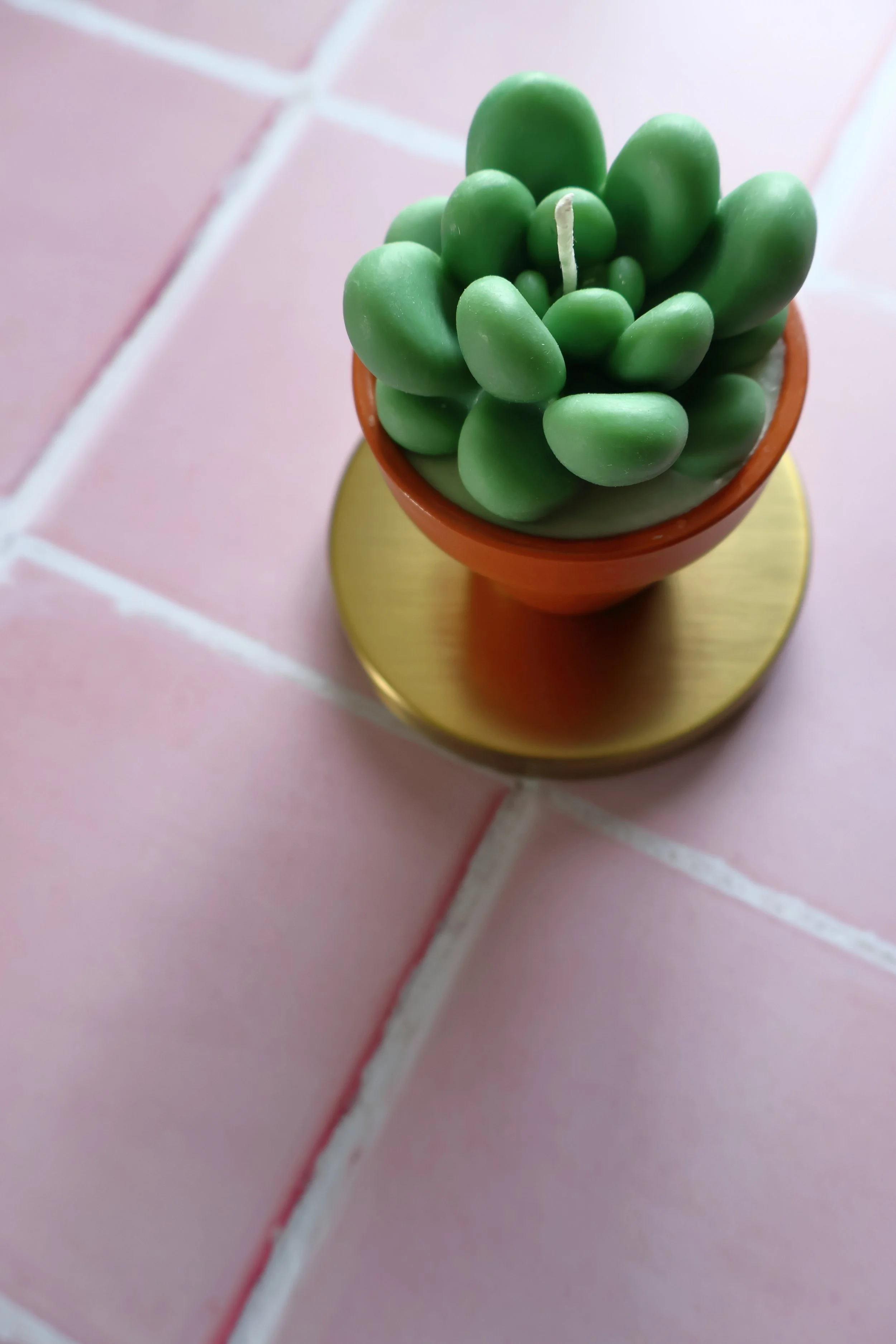 Faith and Co Cactus Candle Homewares Product Photography
