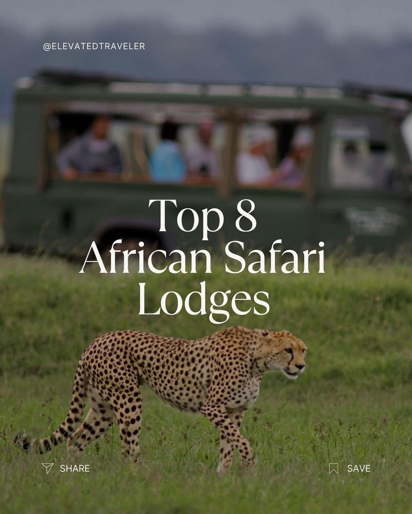 &ldquo;Explore captivating African safari destinations for an exciting wildlife adventure in Africa.&rdquo; 🦒🐅🐘 

Have you ever been on an African Safari?
.
.
.
#travel #wunderlust #destination #african #safari #vacation #travelblogger #travelling