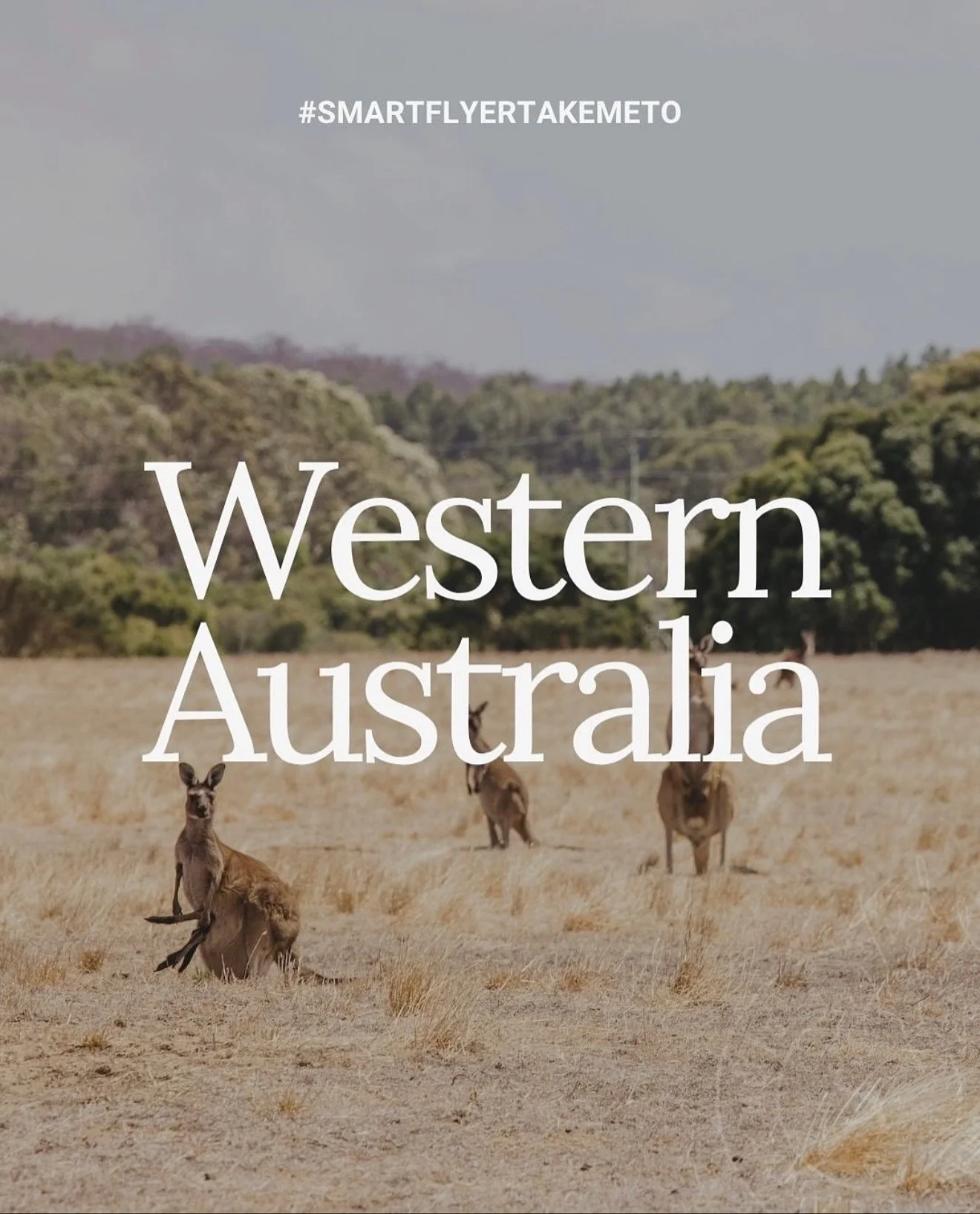 The other side of Australia is wild, wine-soaked, and quietly extraordinary. This is seven days tracing Western Australia, from Perth&rsquo;s coastal calm to Margaret River&rsquo;s vineyards and the forested serenity of Pemberton. This is Australia&r