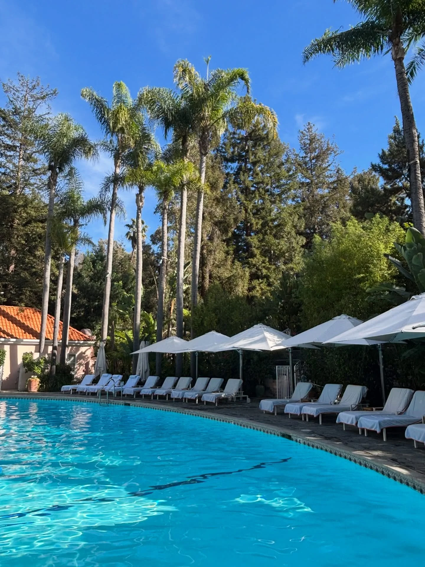 Last weekend I experienced timeless elegance at @hotelbelair , a serene oasis in Los Angeles. No surprise it has been ranked in the World&rsquo;s 50 Best Hotels. 

Opened in 1946, Hotel Bel-Air has hosted Hollywood royalty and celebrities for years. 
