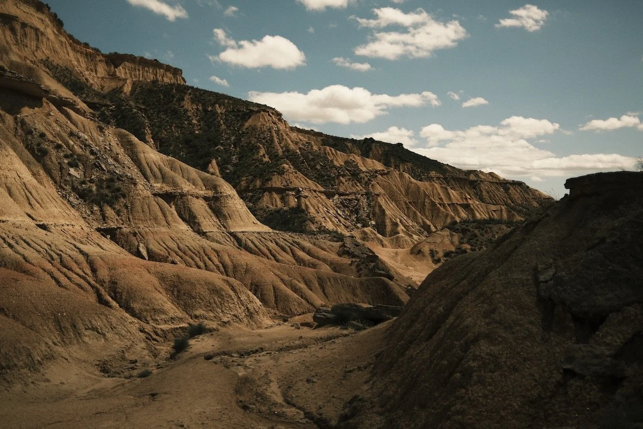 Avril-Mai-Juin.            BARDENAS (Navarre)