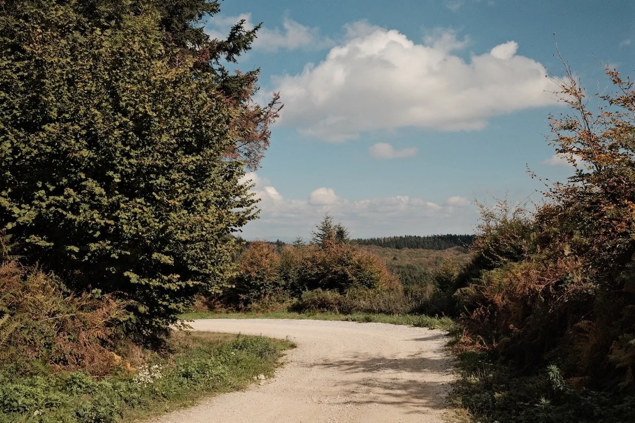 Septembre-Octobre-Novembre. MIDI (Occitanie)