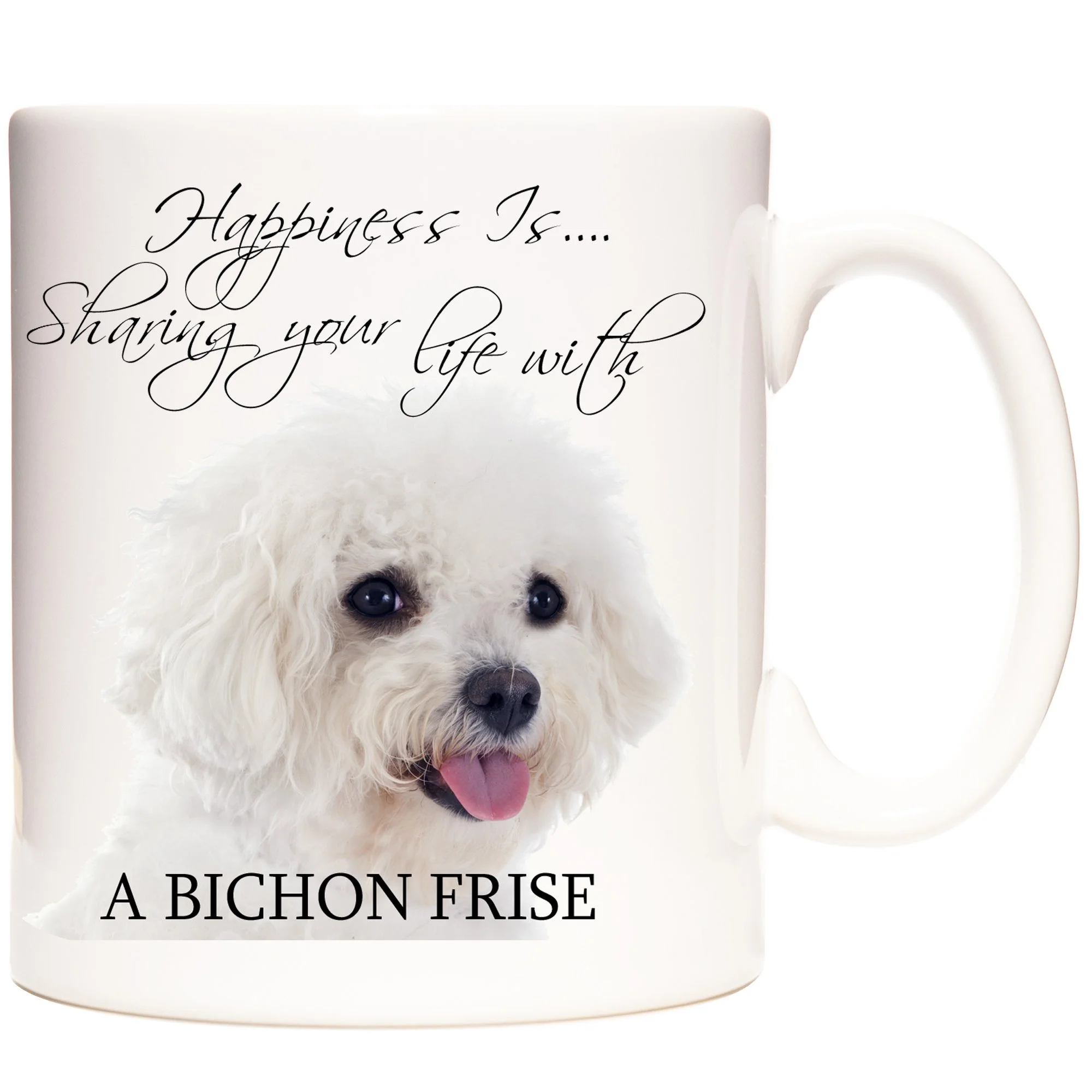 BICHON FRISE NEW 1.jpg