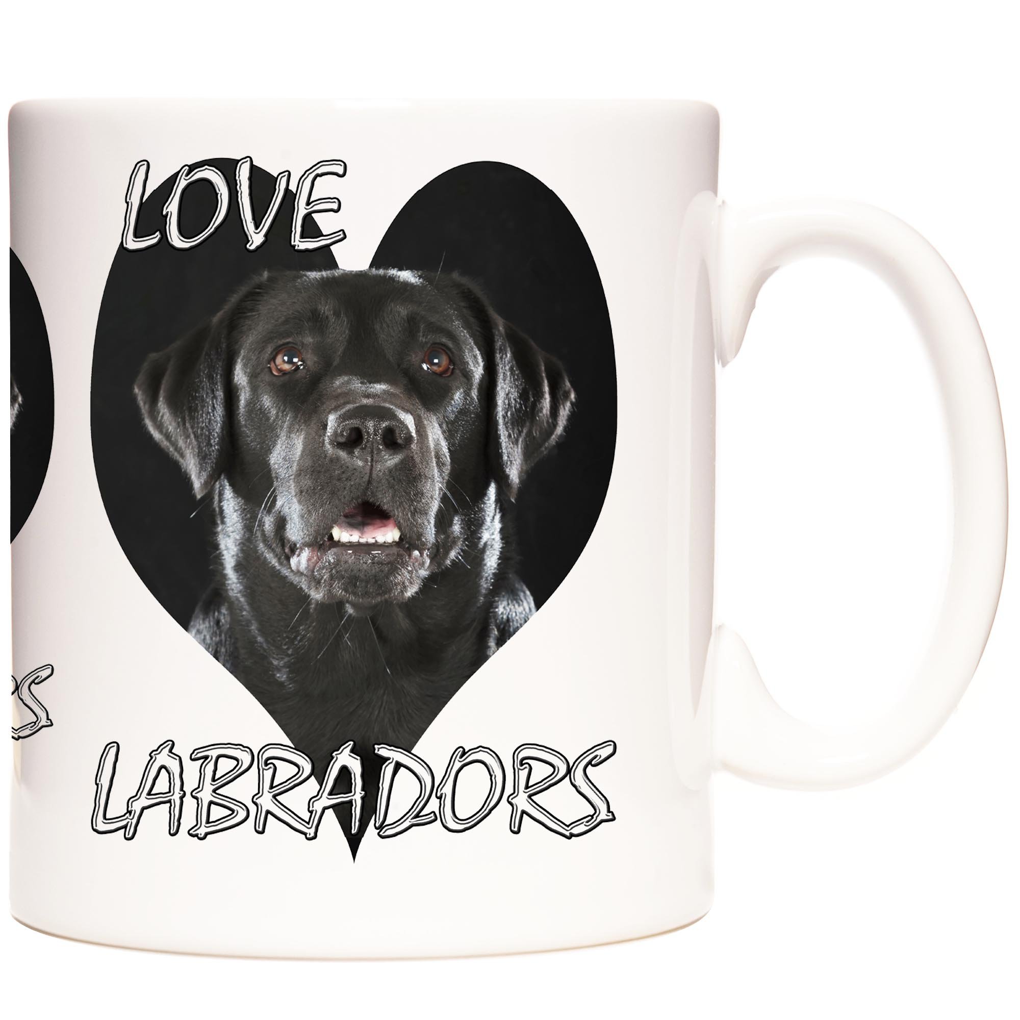 BLACK LABRADOR LOVE LABRADORS 1.jpg