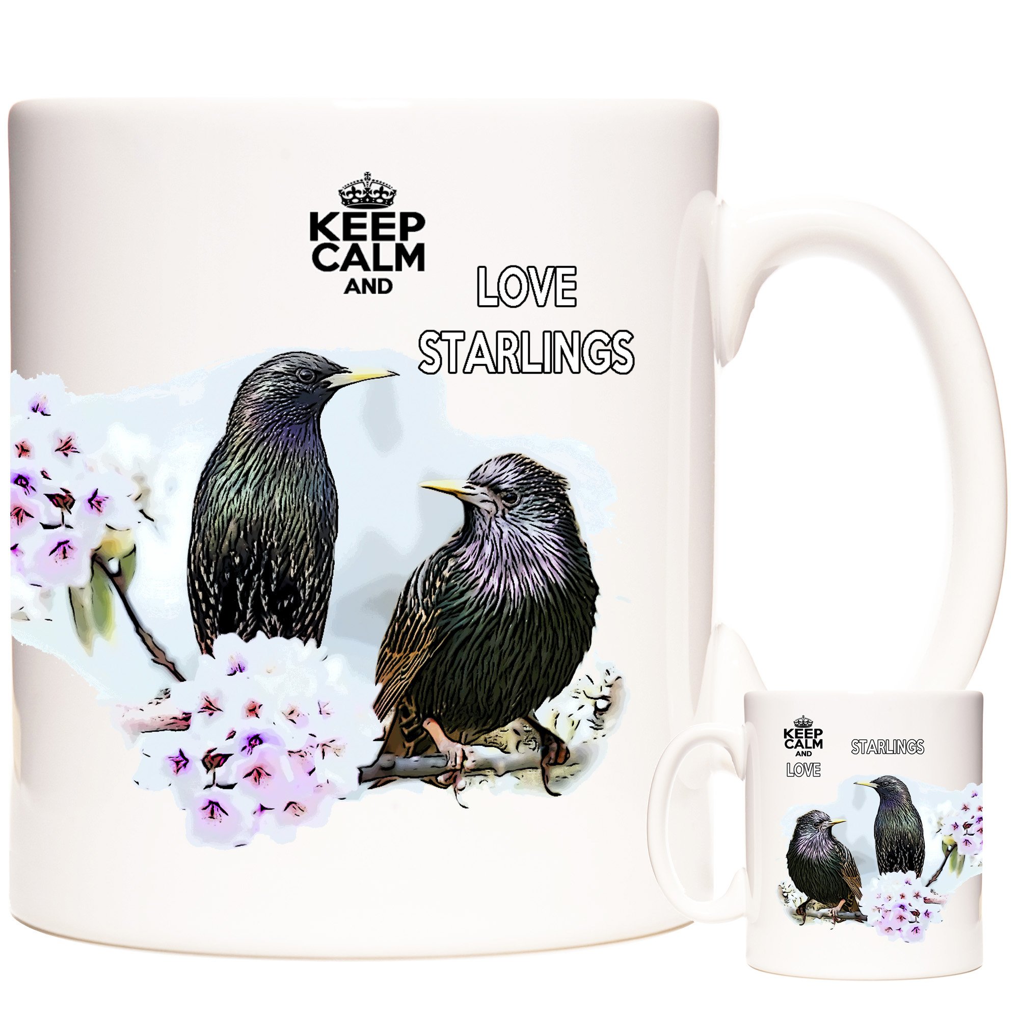 STARLING 3.jpg