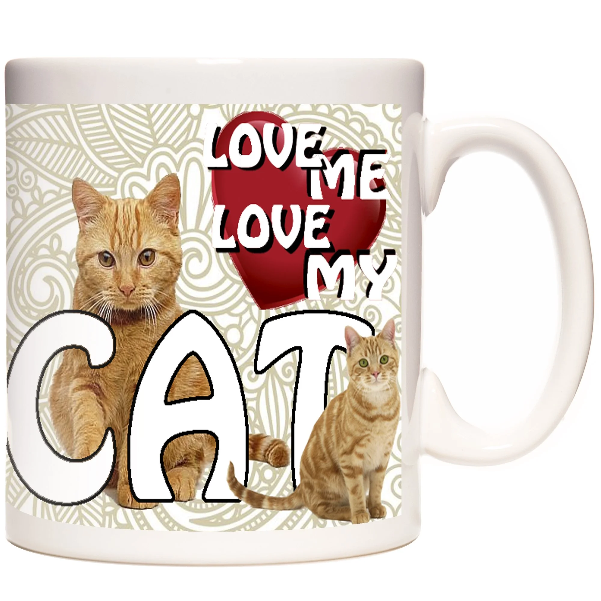 GINGER TABBY 2.jpg