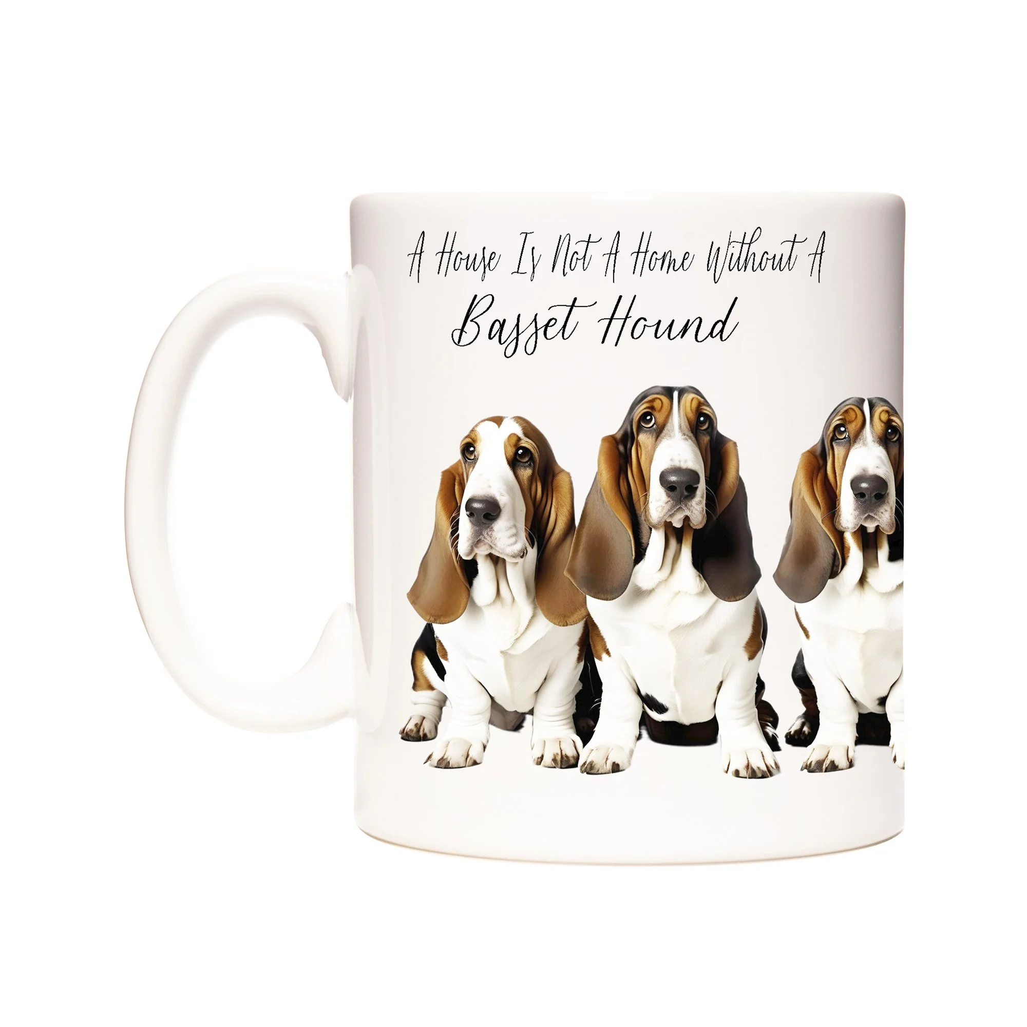 BASSET HOUND.jpg