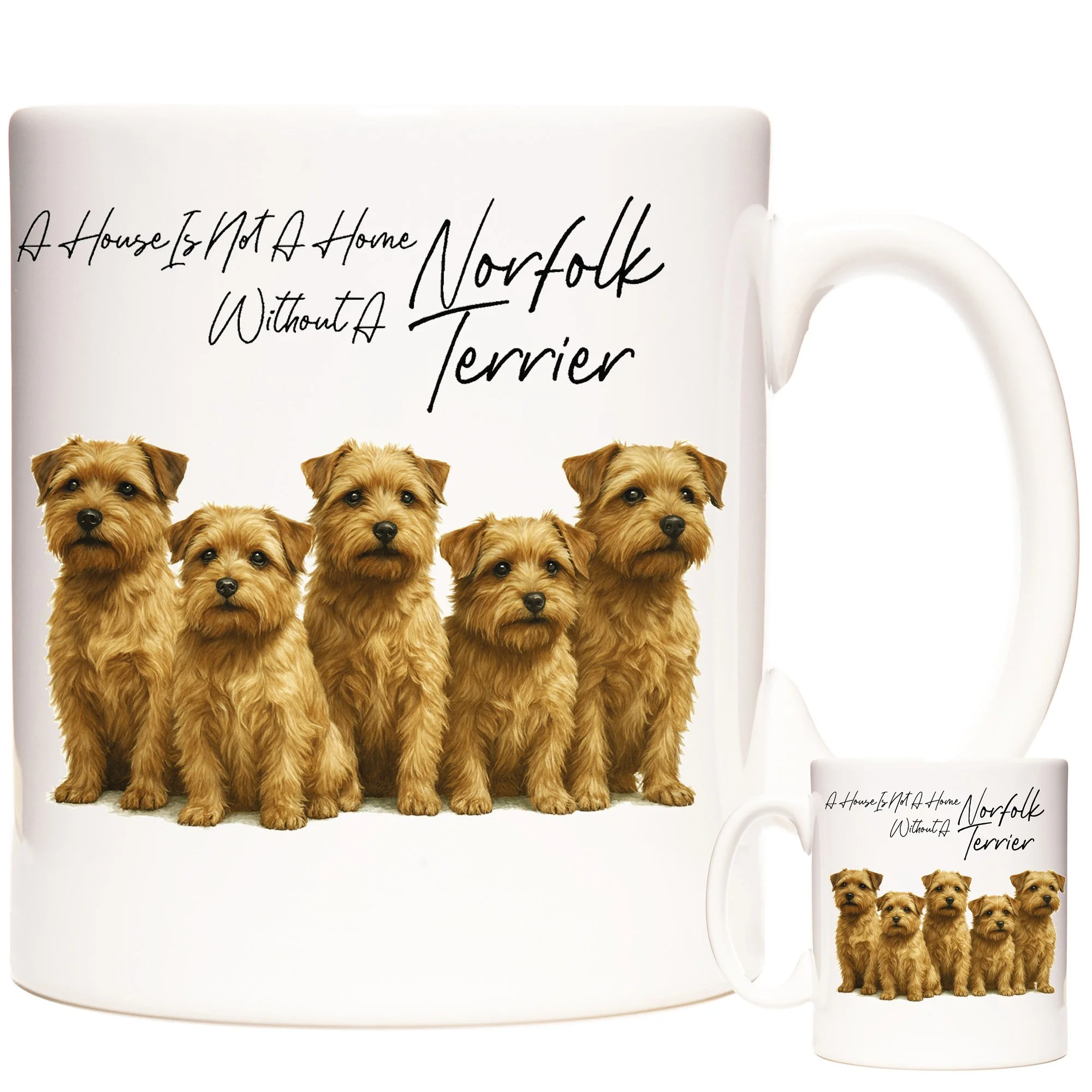NORFOLK TERRIER 3.jpg