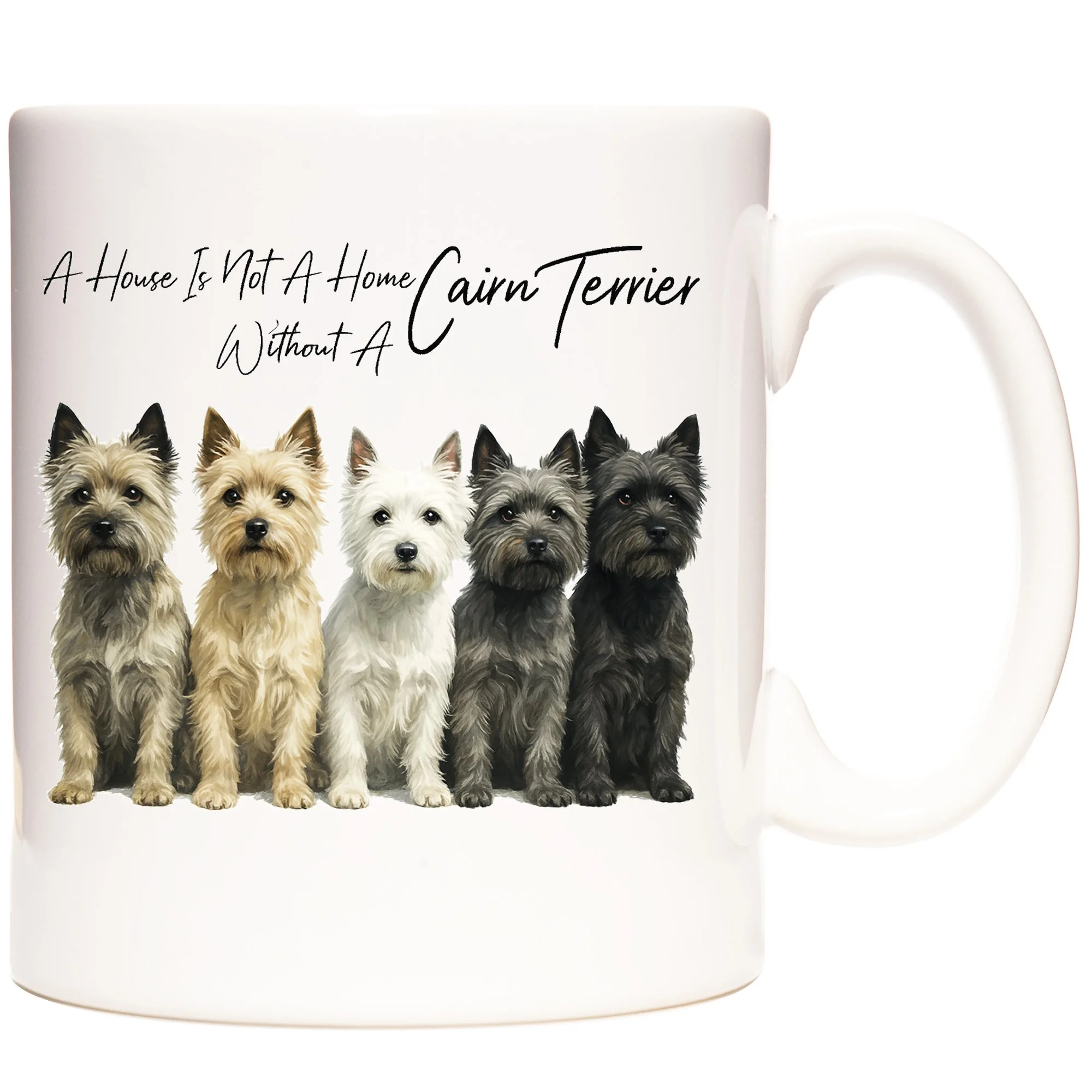 CAIRN TERRIER 1.jpg