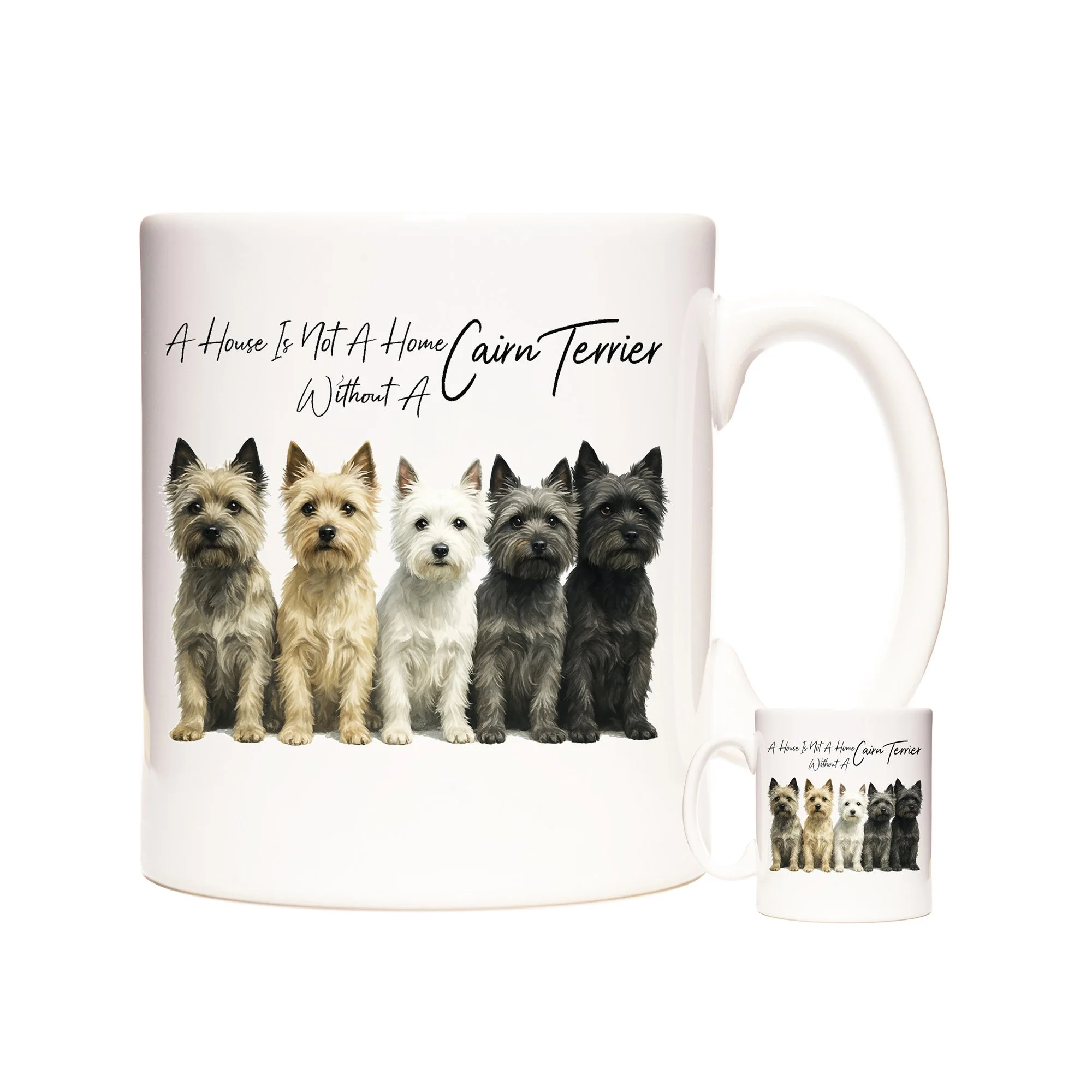 CAIRN TERRIER.jpg