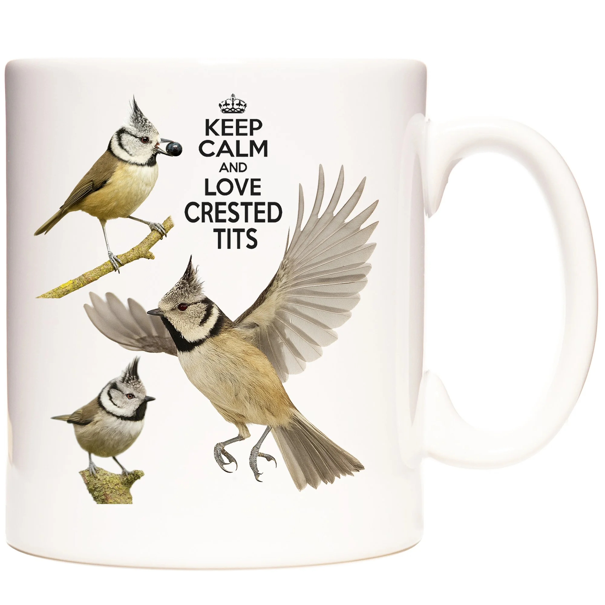 CRESTED TIT 1.jpg
