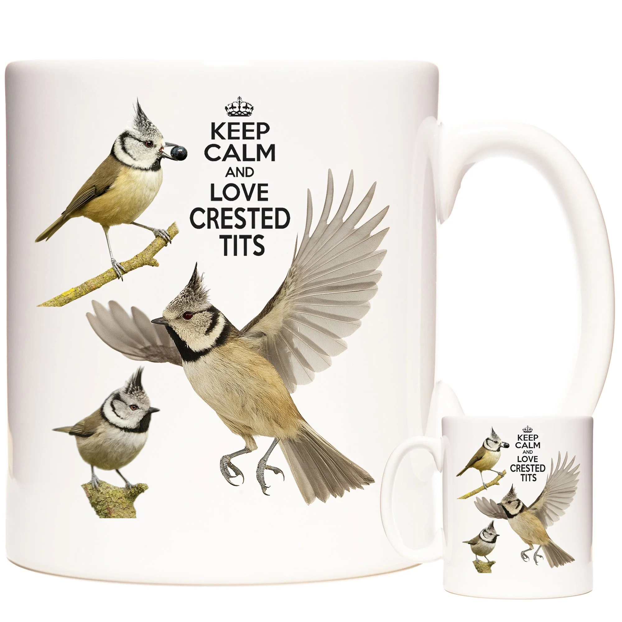 CRESTED TIT 3.jpg