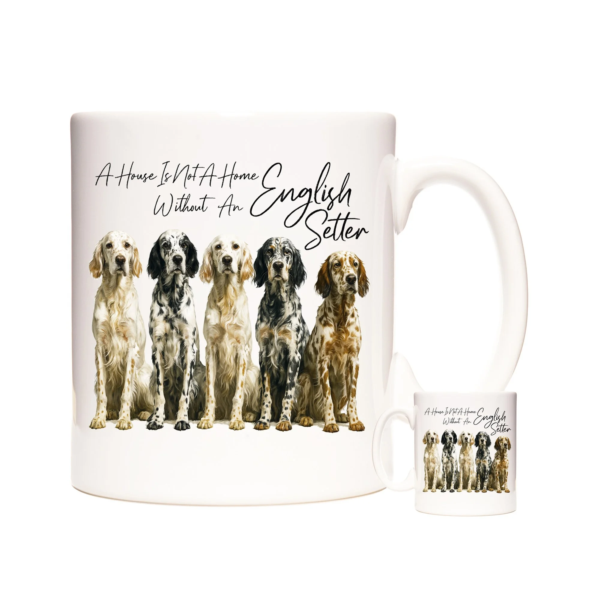 ENGLISH SETTER AHINAH.jpg