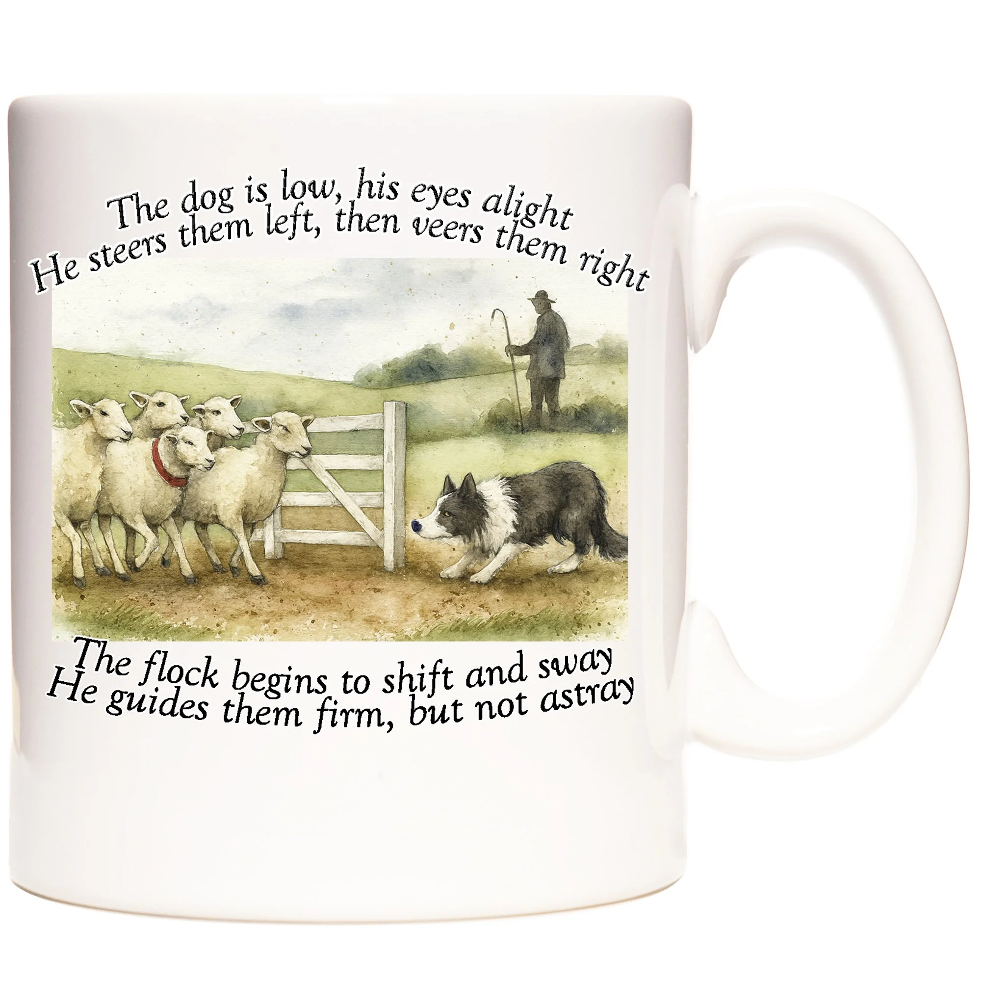 SHEEPDOG TRIALS 1.jpg