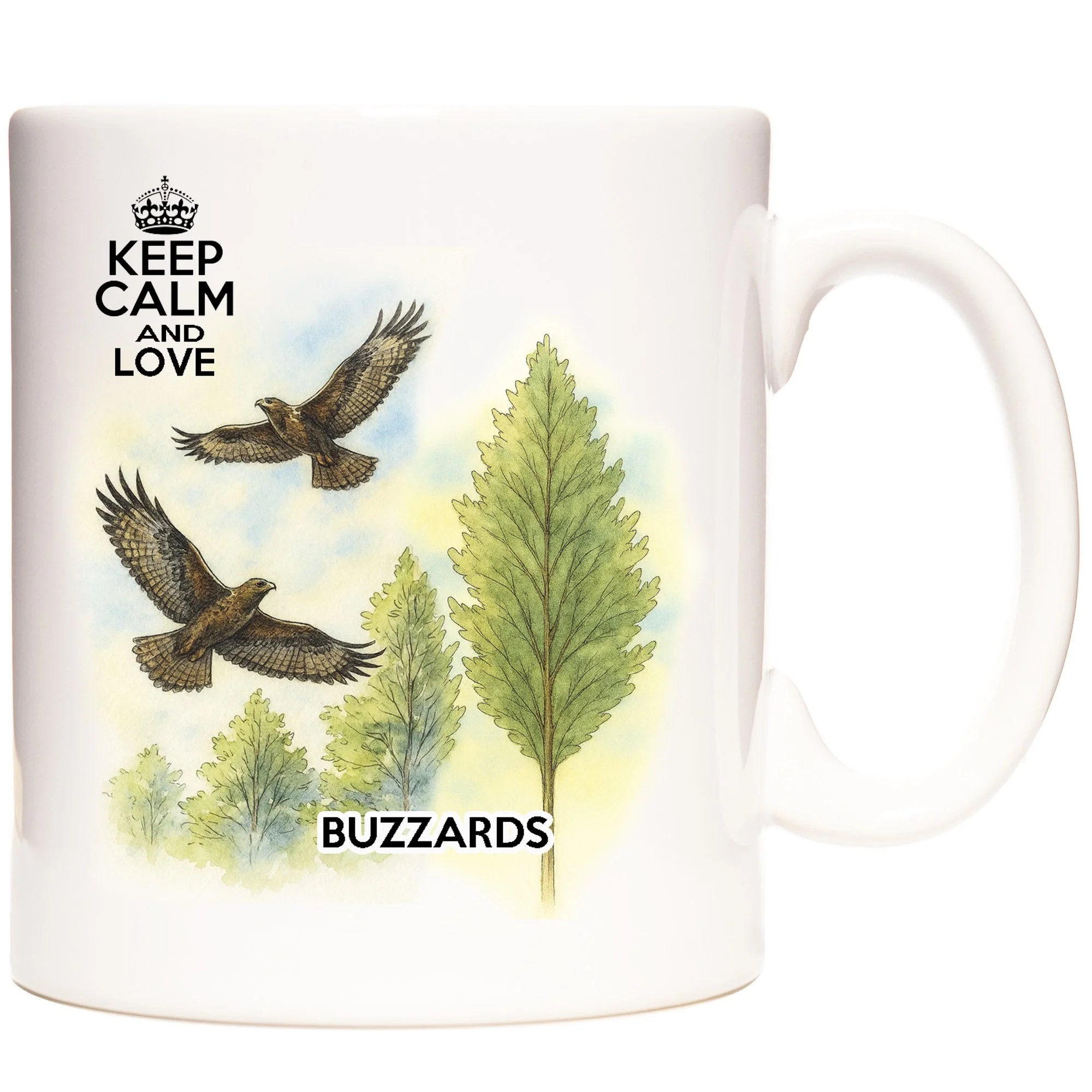 BUZZARDS 1.jpg