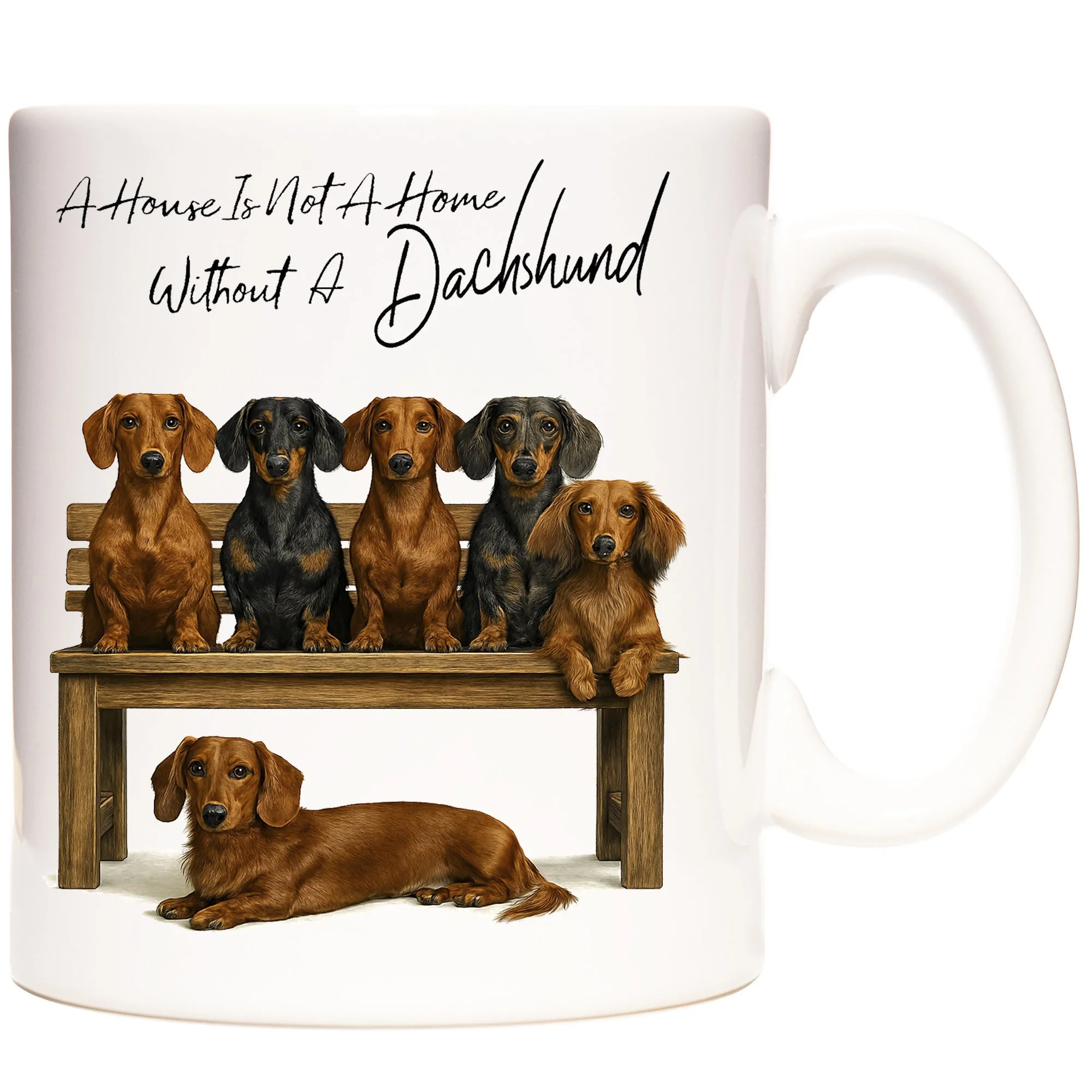 DACHSHUND 1.jpg