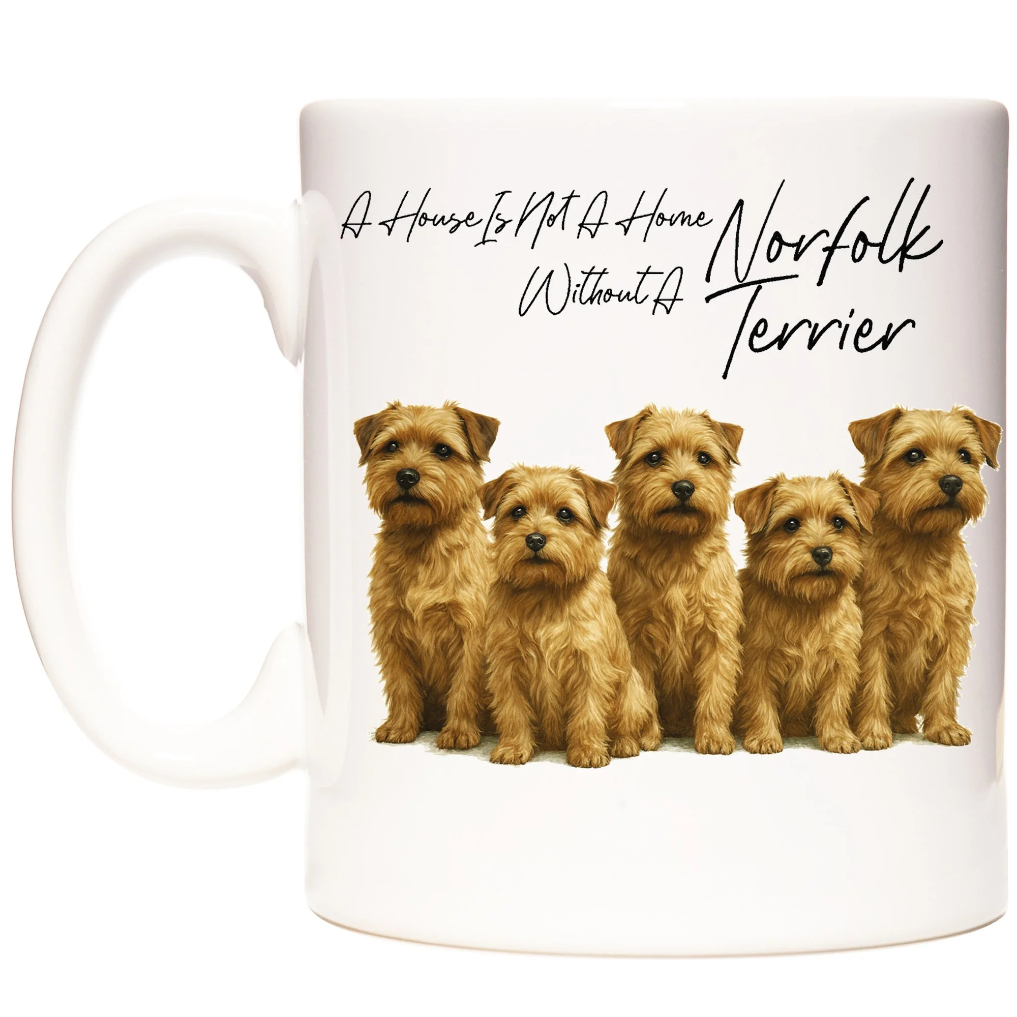 NORFOLK TERRIER 1.jpg