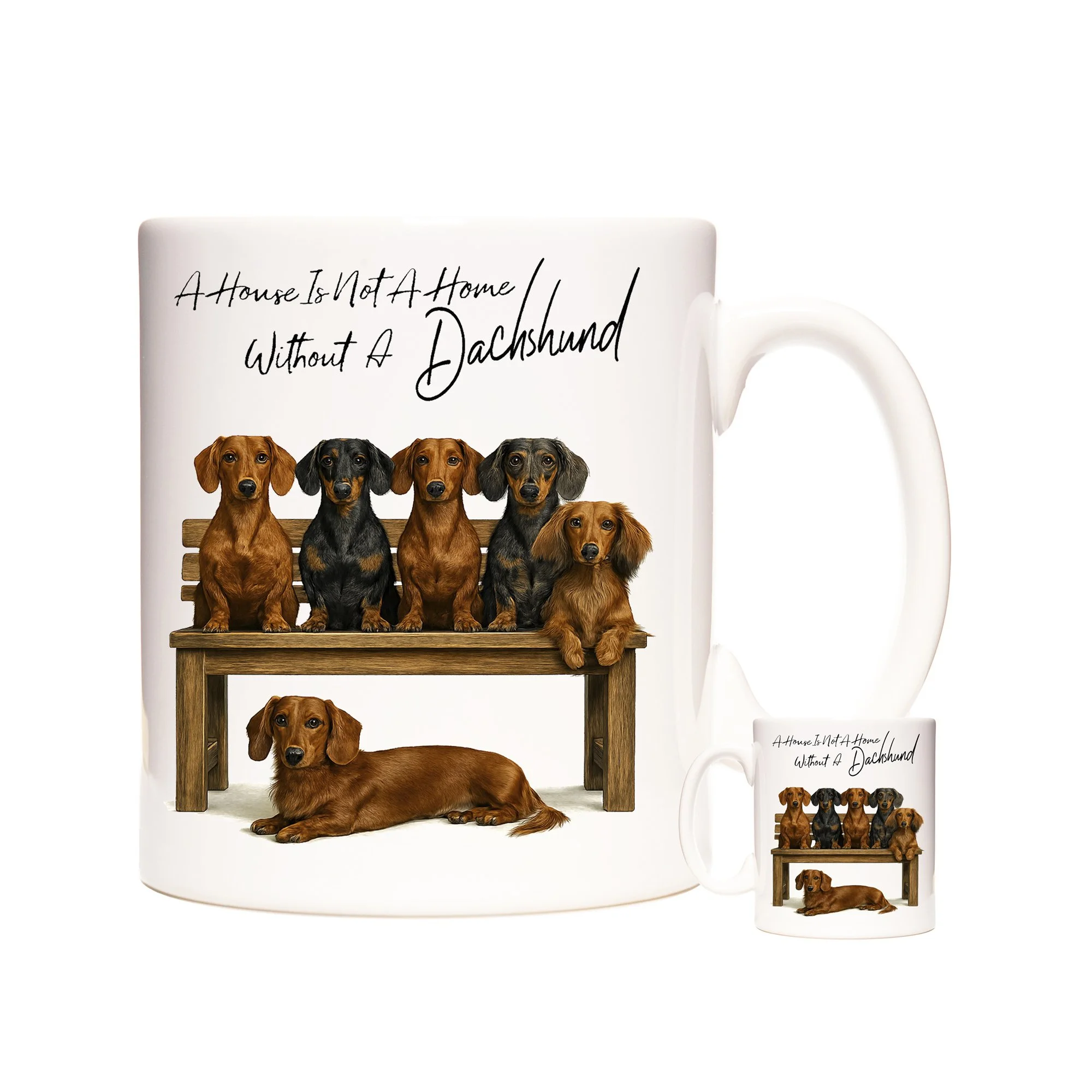 DACHSHUND AHINAH.jpg