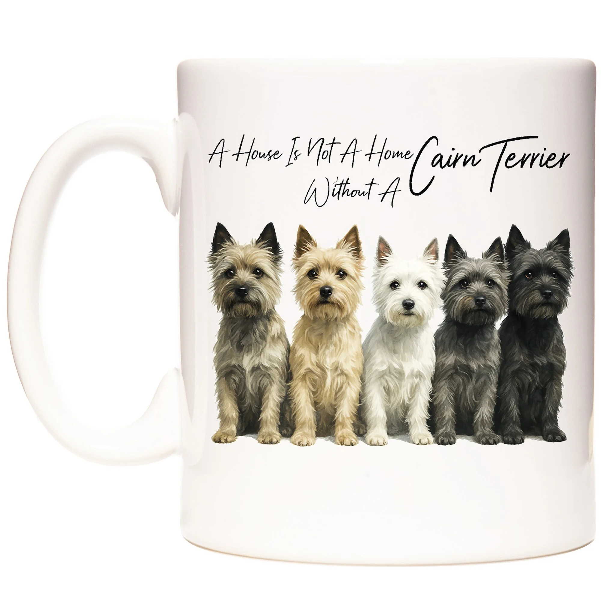 CAIRN TERRIER 2.jpg