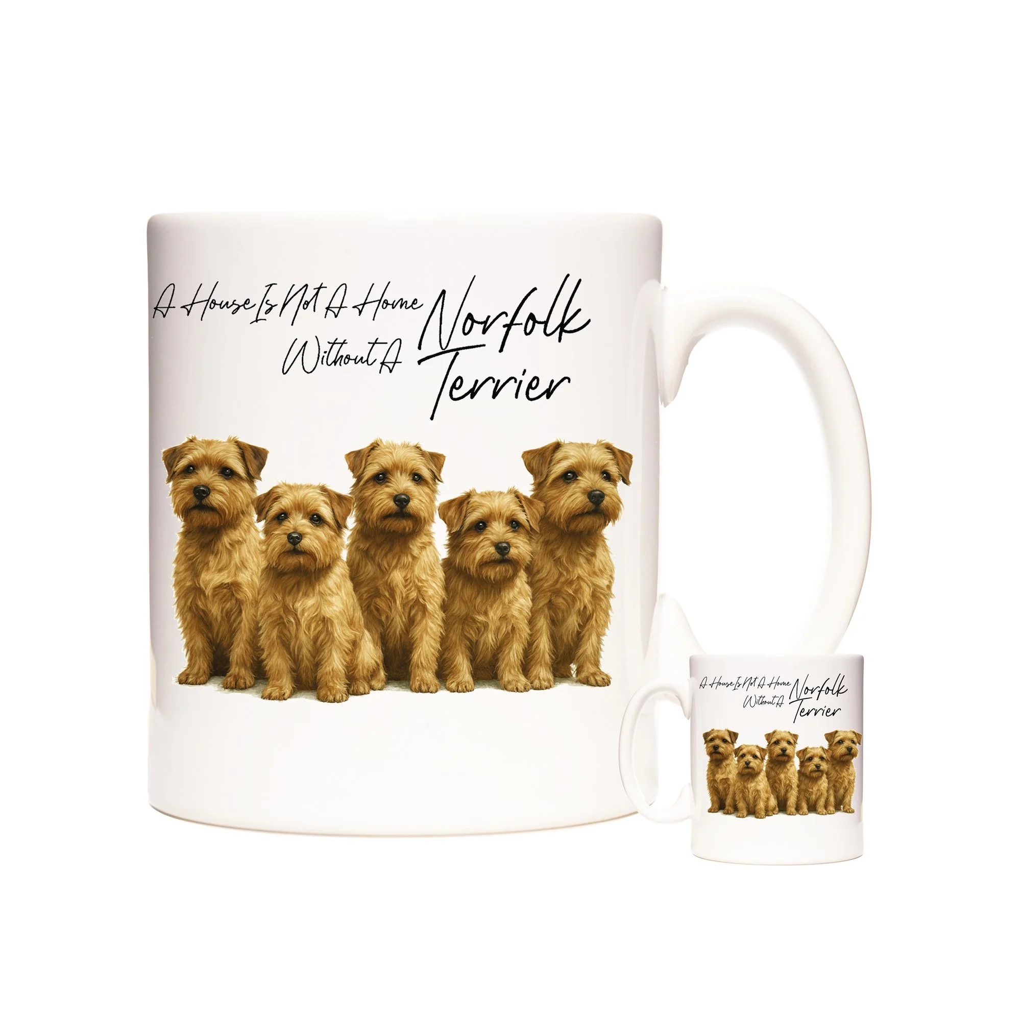 NORFOLK TERRIER.jpg