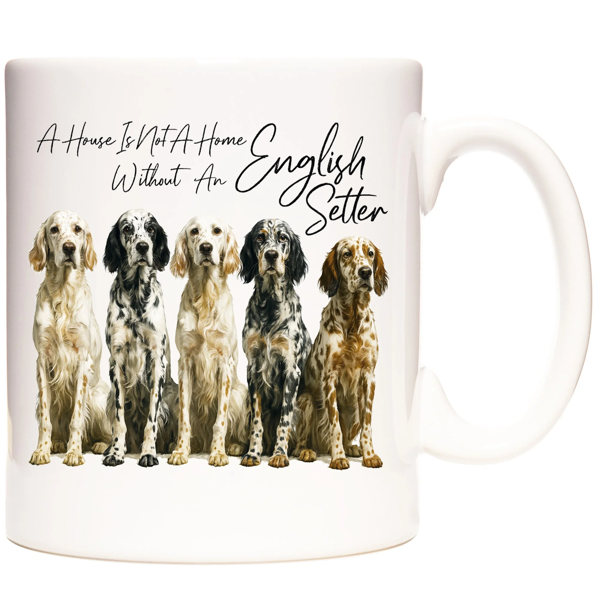 ENGLISH SETTER AHINAH 1.jpg