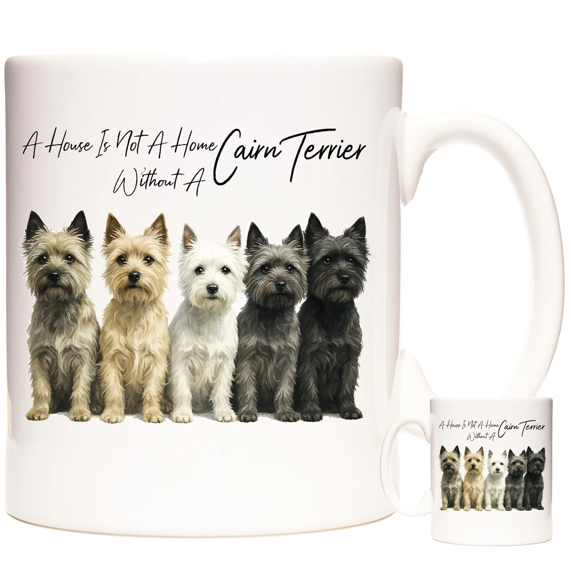 CAIRN TERRIER 3.jpg