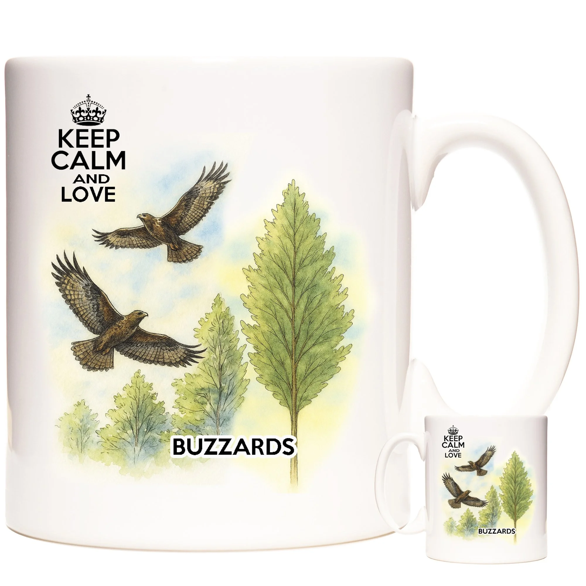 BUZZARDS 3.jpg