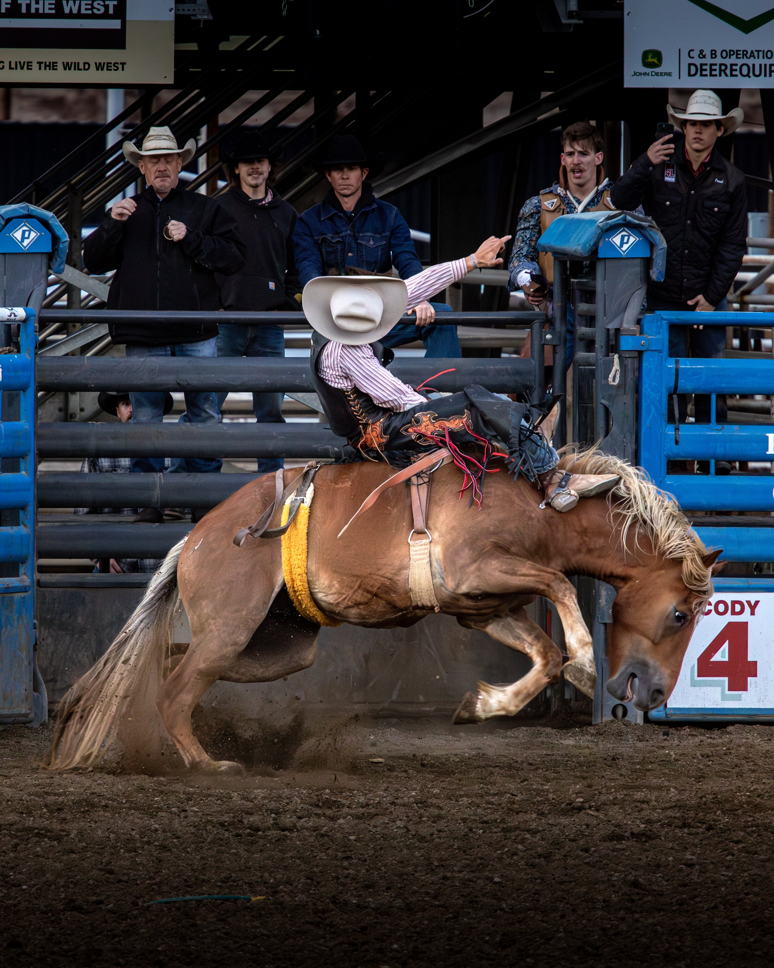 Rodeo-1.jpg