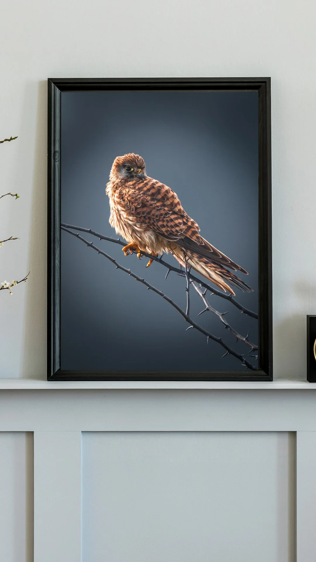 kestral mock up.jpg