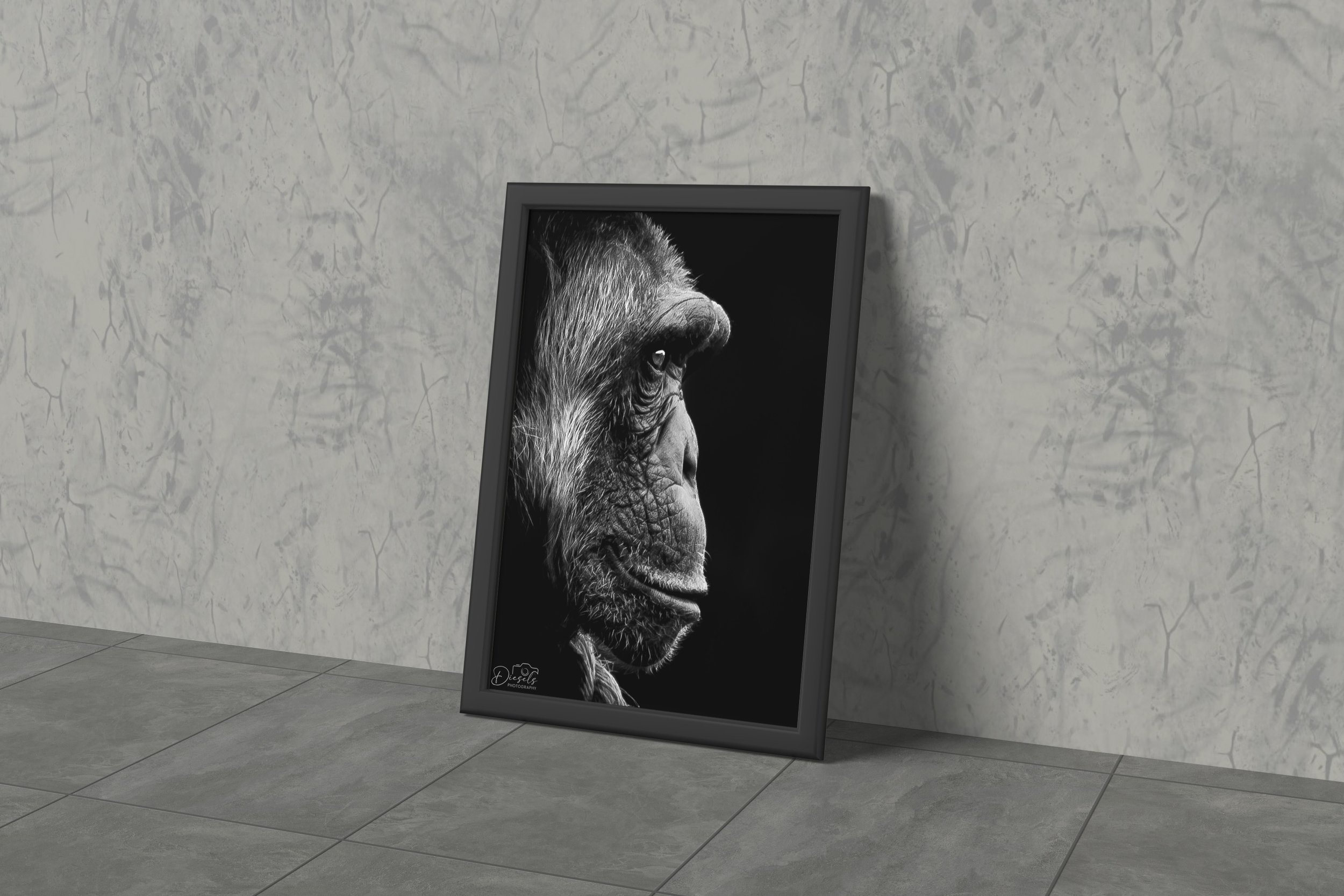 ChimpMockup2.jpg