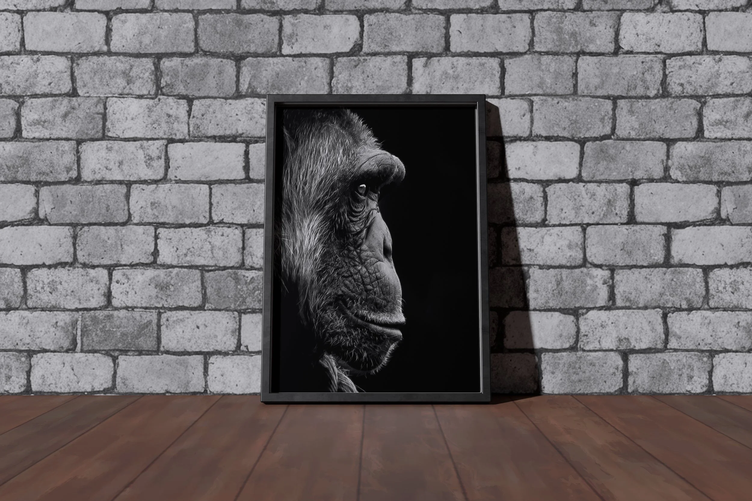 ChimpMockup3.jpg