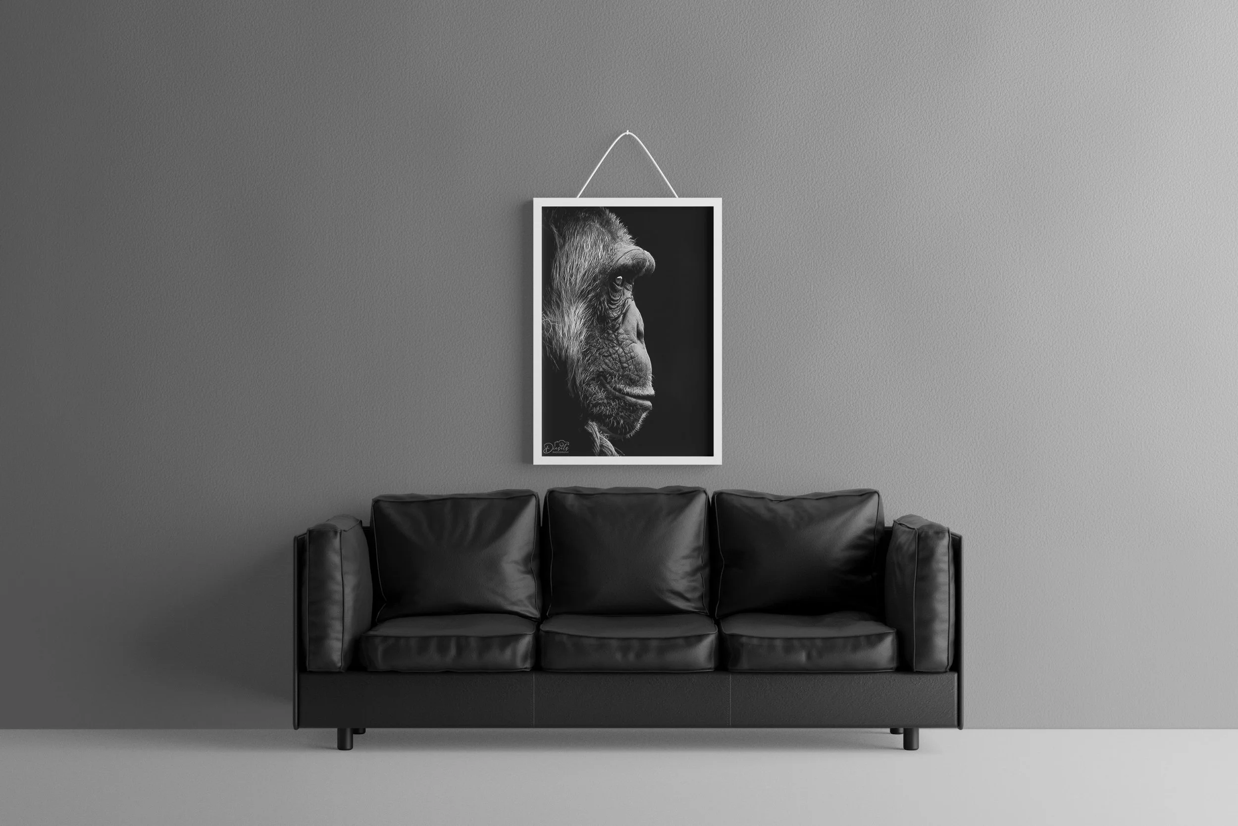 ChimpMockup.jpg