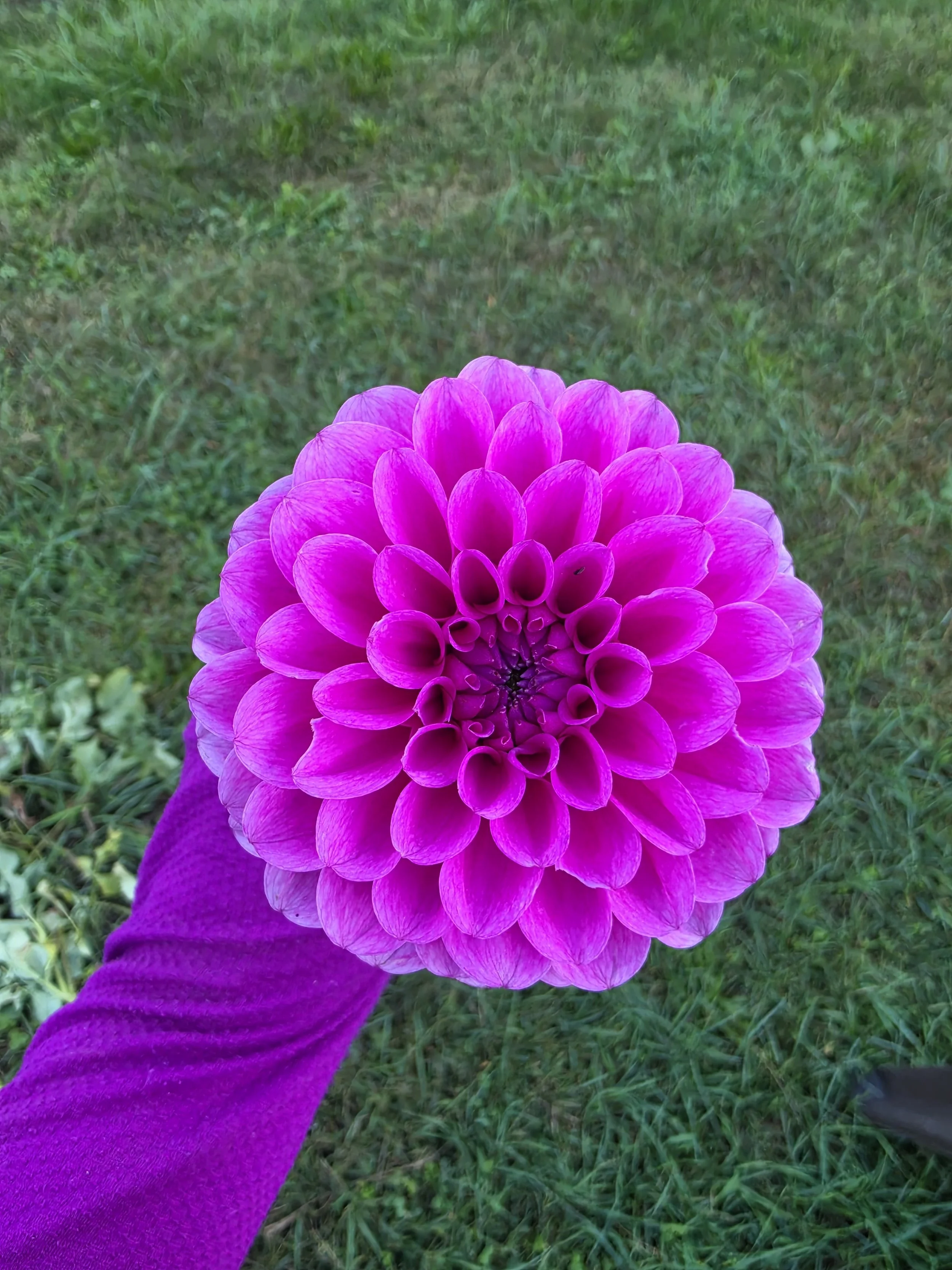 20260929_183424.jpg