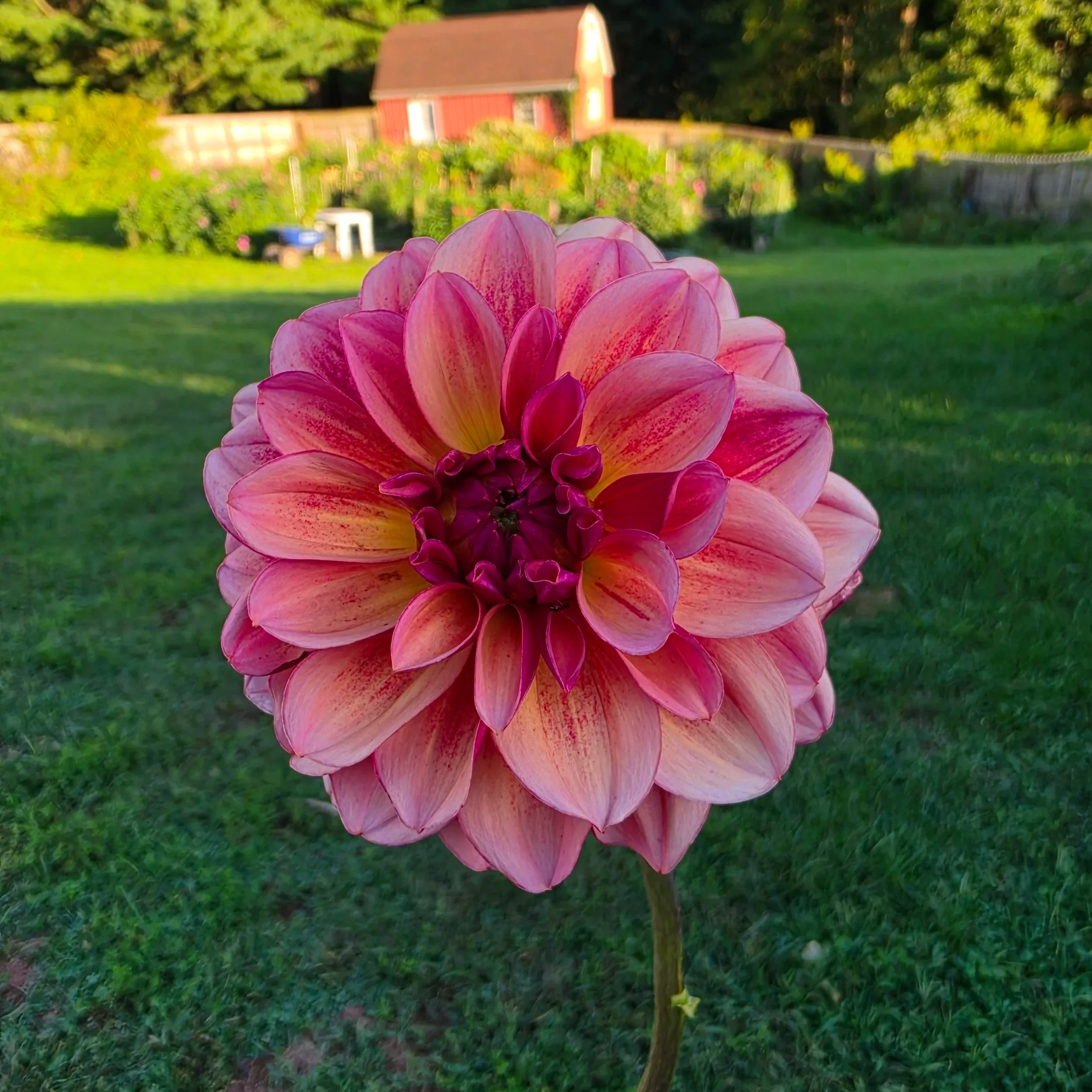 20260908_182136.jpg