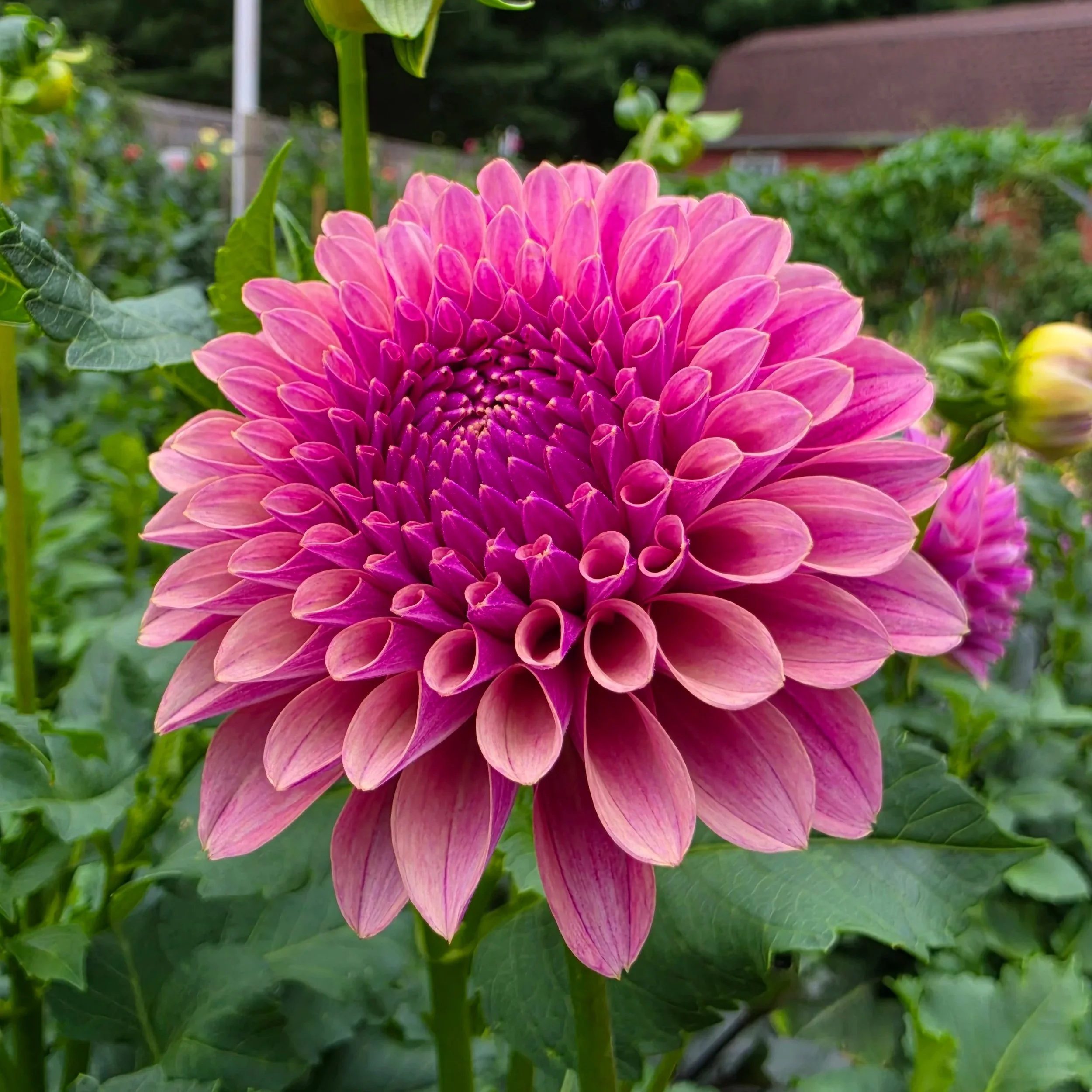 20260730_191031.jpg