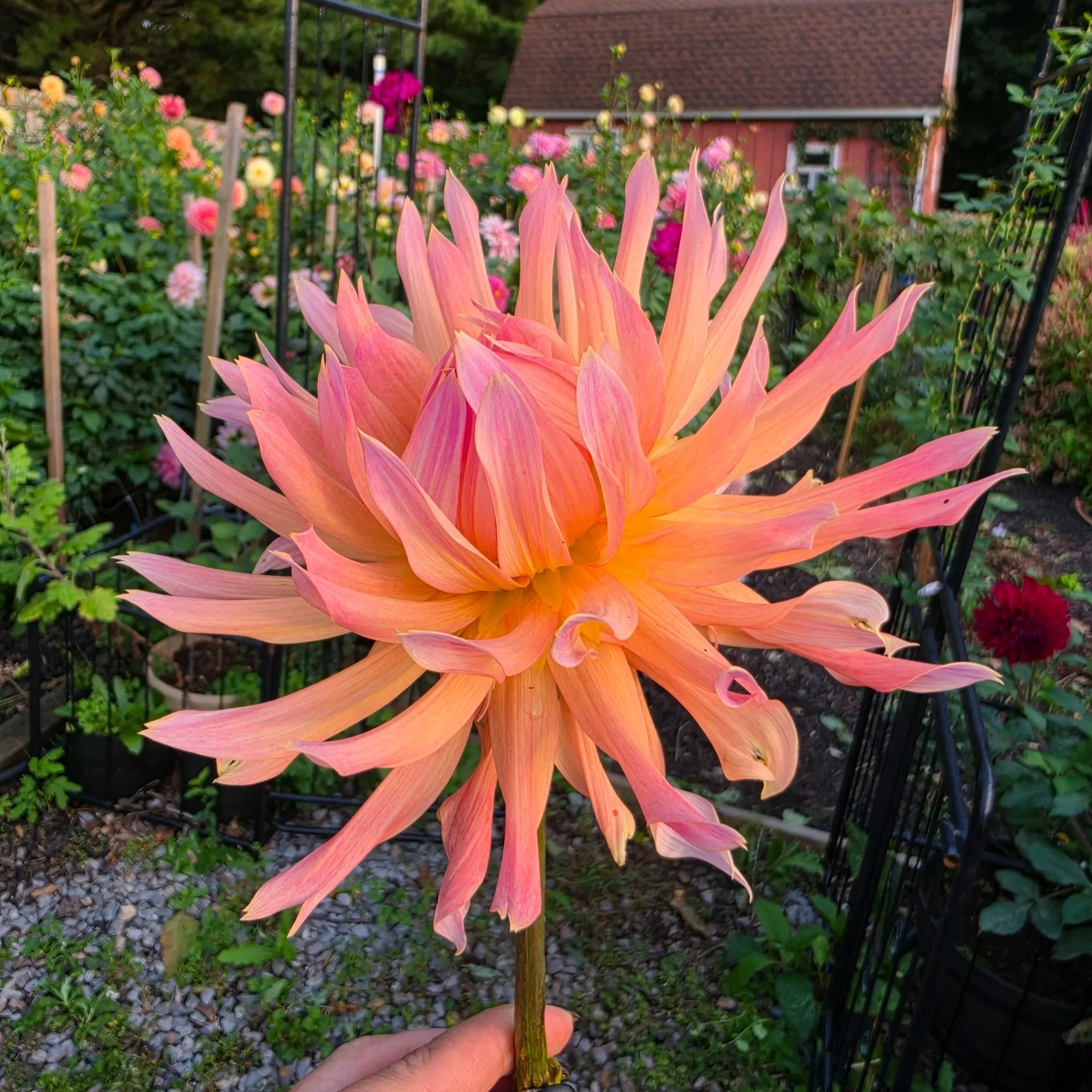 20260930_181734.jpg