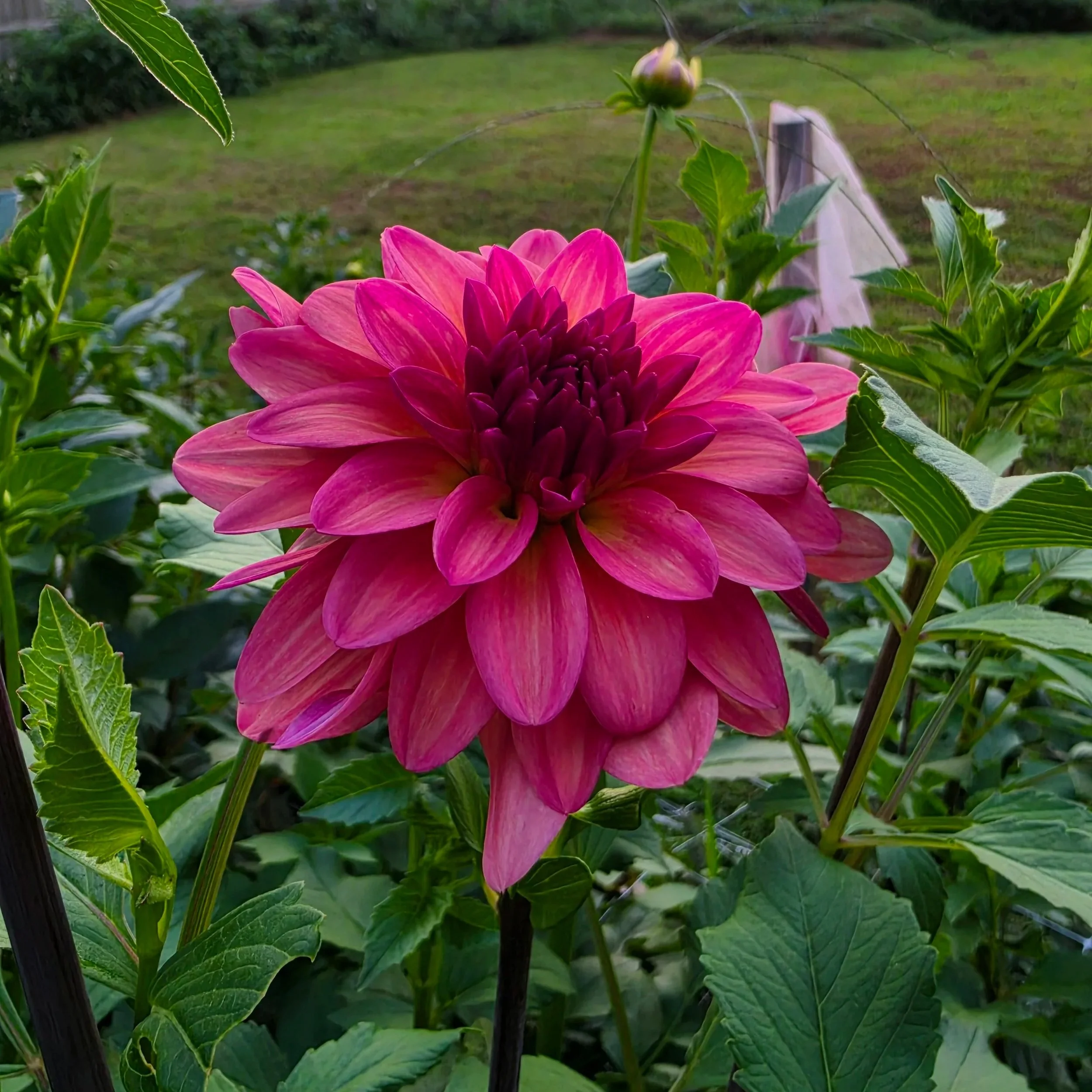 20260817_193944.jpg