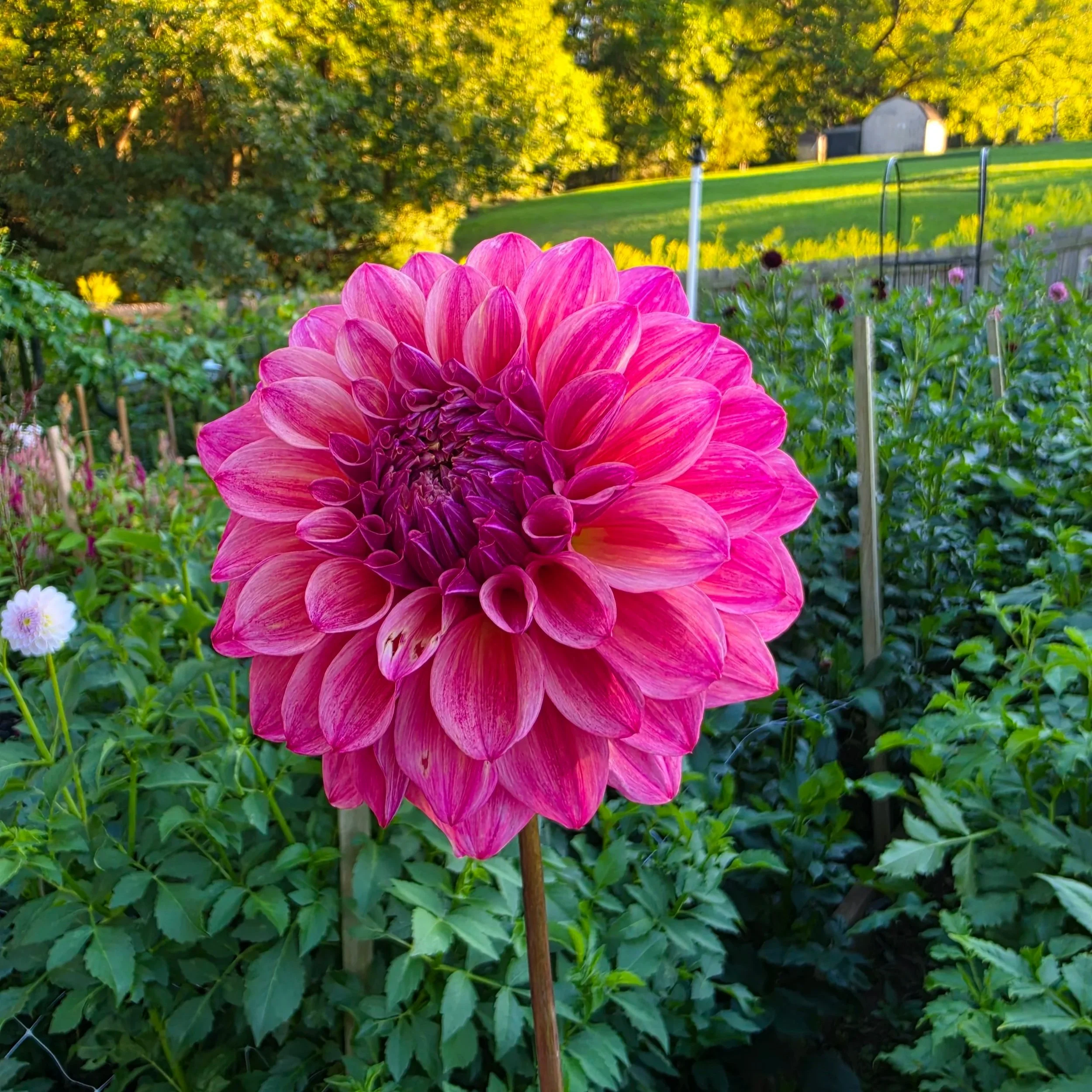 20260906_184811.jpg